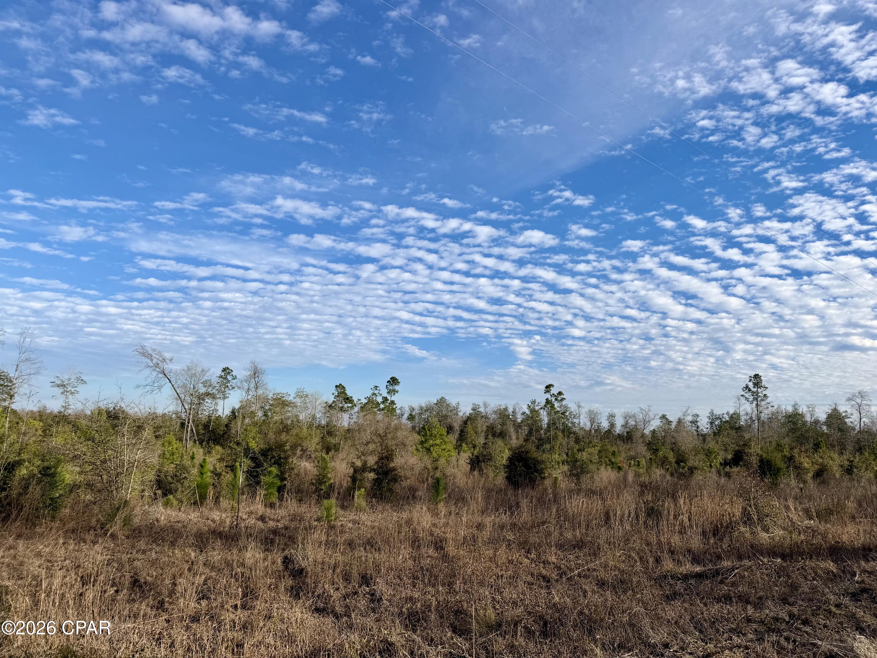 Check out this 25 acres of land located just outside Marianna!  Longleaf Pines were planted in 2022.  This property would make a great recreational tract, investment property or there are several places that would make beautiful homesites.  Enjoy the peace of country living while still being close to town conveniences - Walmart, Lowe's, restaurants, etc are located within 7 miles of the property.  Opportunities like this don't come around often—come walk this land and imagine the possibilities!