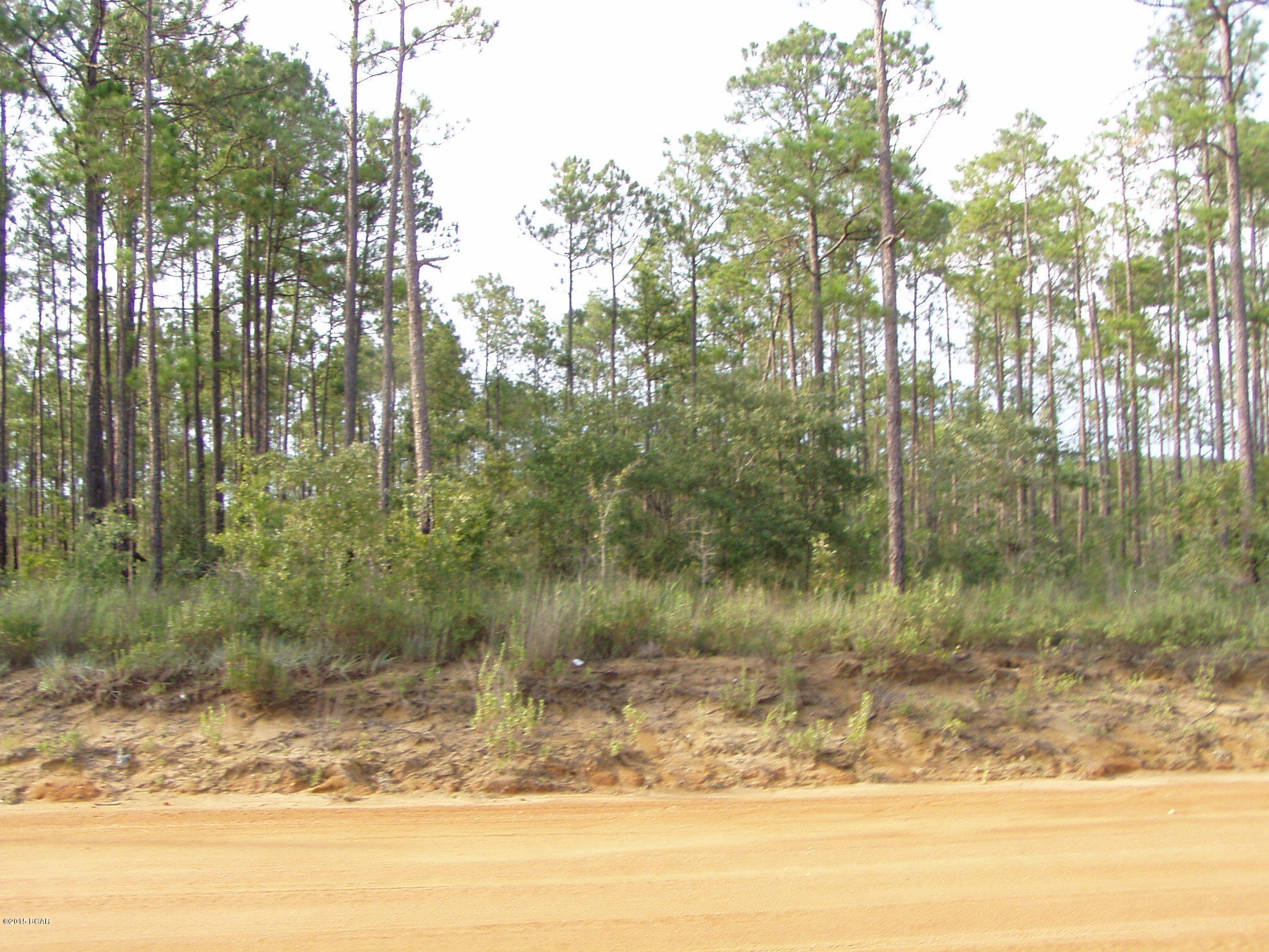 BRING YOUR HORSES!!! COWS & CHICKENS TOO. HIGH & DRY 5.3 ACRES. YOU CAN BUILD YOUR HOUSE OR SET UP MOBILE HOME & PUT UP A POLE BARN W/STALLS & TACK ROOM & PLENTY OFROOM FOR A ROUND PEN TOO! LOTS OF HORSE PEOPLE OUT THERE TO RIDE WITH..WATER MANAGEMENT ACRES TOO..CANT BE SUBDIVIDED BUT CAN HAVE 4 DWELLINGS W/SEPARATE WELLS/SEPTICS..ROLLING PINES IS PAVED,RADCLIFF IS CLAY &  MAINTAINED. SELLER HAS NO SURVEY,SORRY