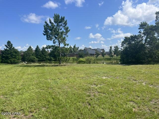 The Meadows - Land