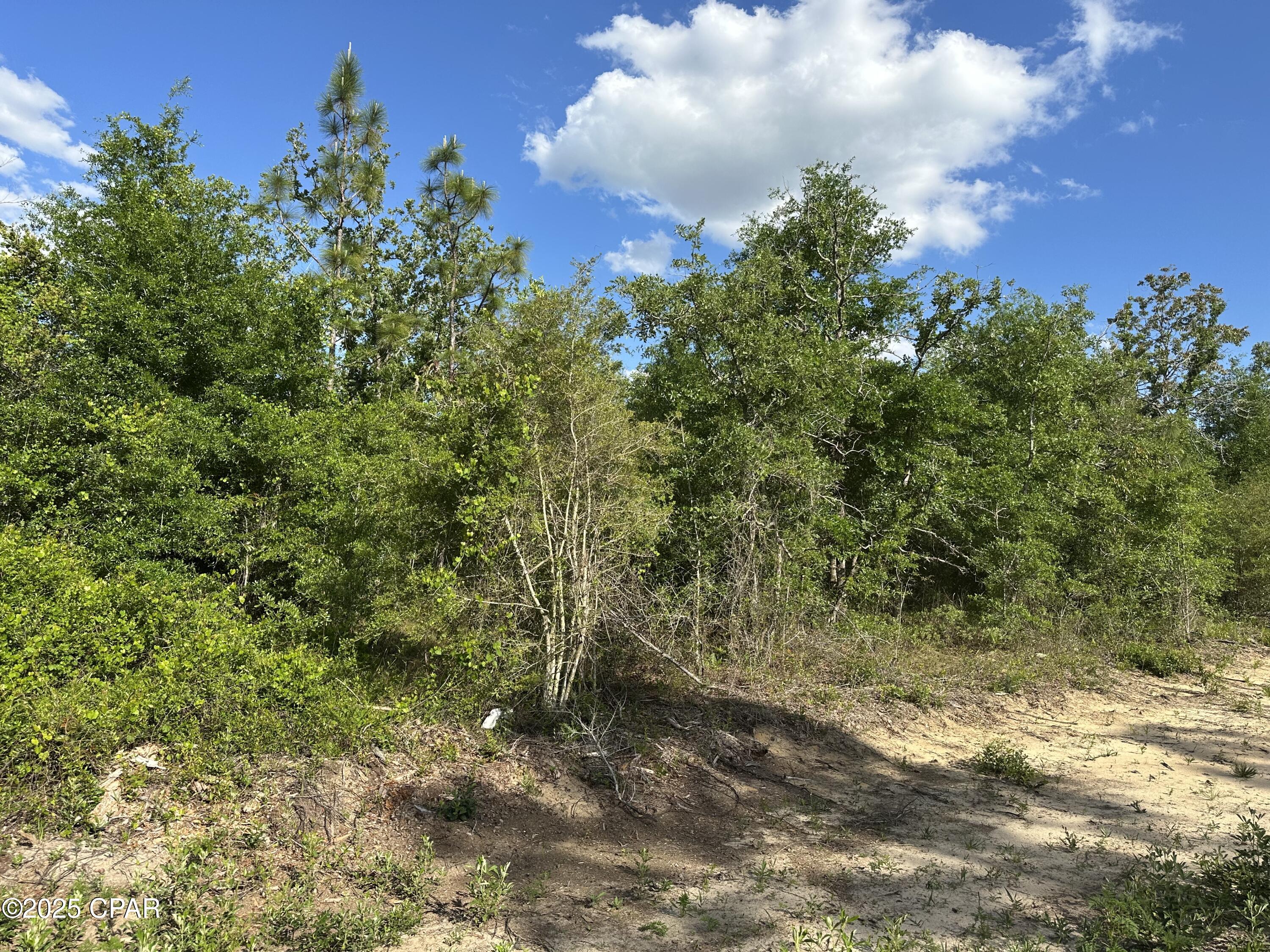 Peaceful 0.50-Acre Corner Lot in Lake McKenzie Homes Subdivision - Mobile Homes Welcome! Escape to the serenity of country living with this beautiful 0.50-acre wooded lot tucked away in a quiet area, this parcel offers the perfect blend of privacy and accessibility. Just a short stretch on a dirt road - easy to reach yet peacefully secluded.  Light foliage and mostly level - ready for clearing and development.  Mobile homes are welcome - bring your vision and make it home!  Enjoy the tranquility of a wooded setting with plenty of natural beauty, this lot offers endless possibilities at an affordable price. Inquire about the adjoining lot for sale as well and don't miss this opportunity to own a slice of Florida's countryside in a growing community near Lake McKenzie!