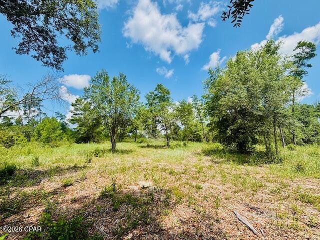 Long Lake Estates - Land