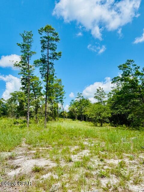Long Lake Estates - Land