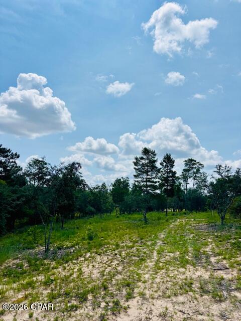 Long Lake Estates - Land