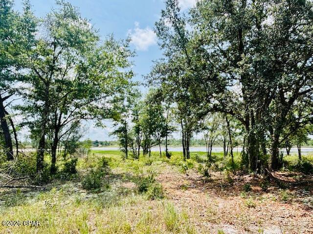 Long Lake Estates - Land