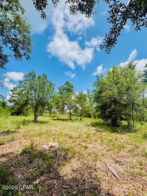 Long Lake Estates - Land