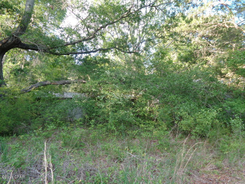 Country living! This would be a great location to build your dream home or a place to get away from it all! The property is on the corner of Madison Lane.  Property needs to be mowed.Property has some nice trees. Home is not livable.Unsure if there is a well or septic on property.