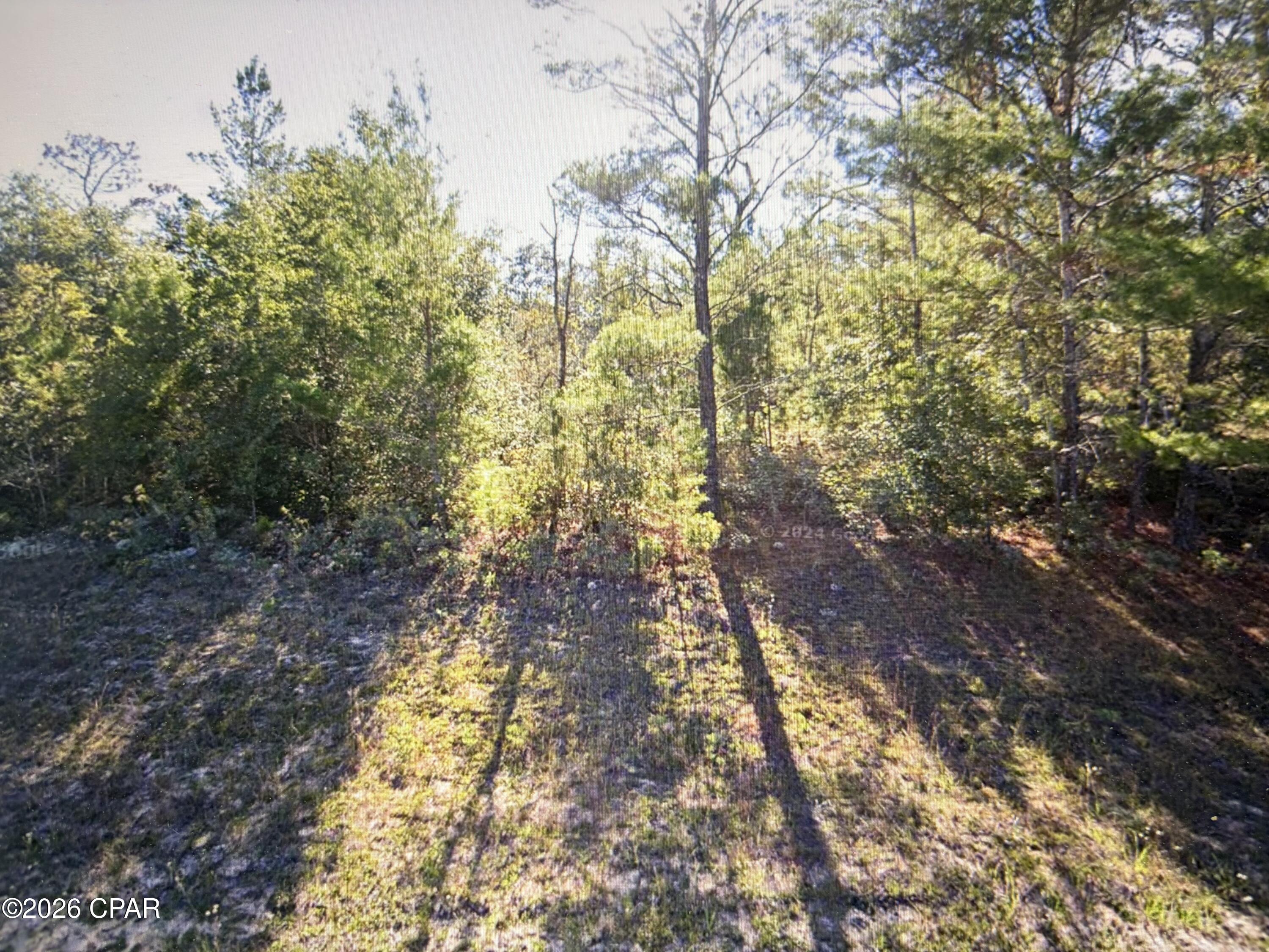 Looking for a beautiful spot for your future home or investment?
This 0.23-acre (9,947 sq ft) vacant lot is located in the desirable Sunny Hills development in Chipley, Florida.
This property is zoned Mixed Use offering flexibility for your building plans in a quiet, growing community.