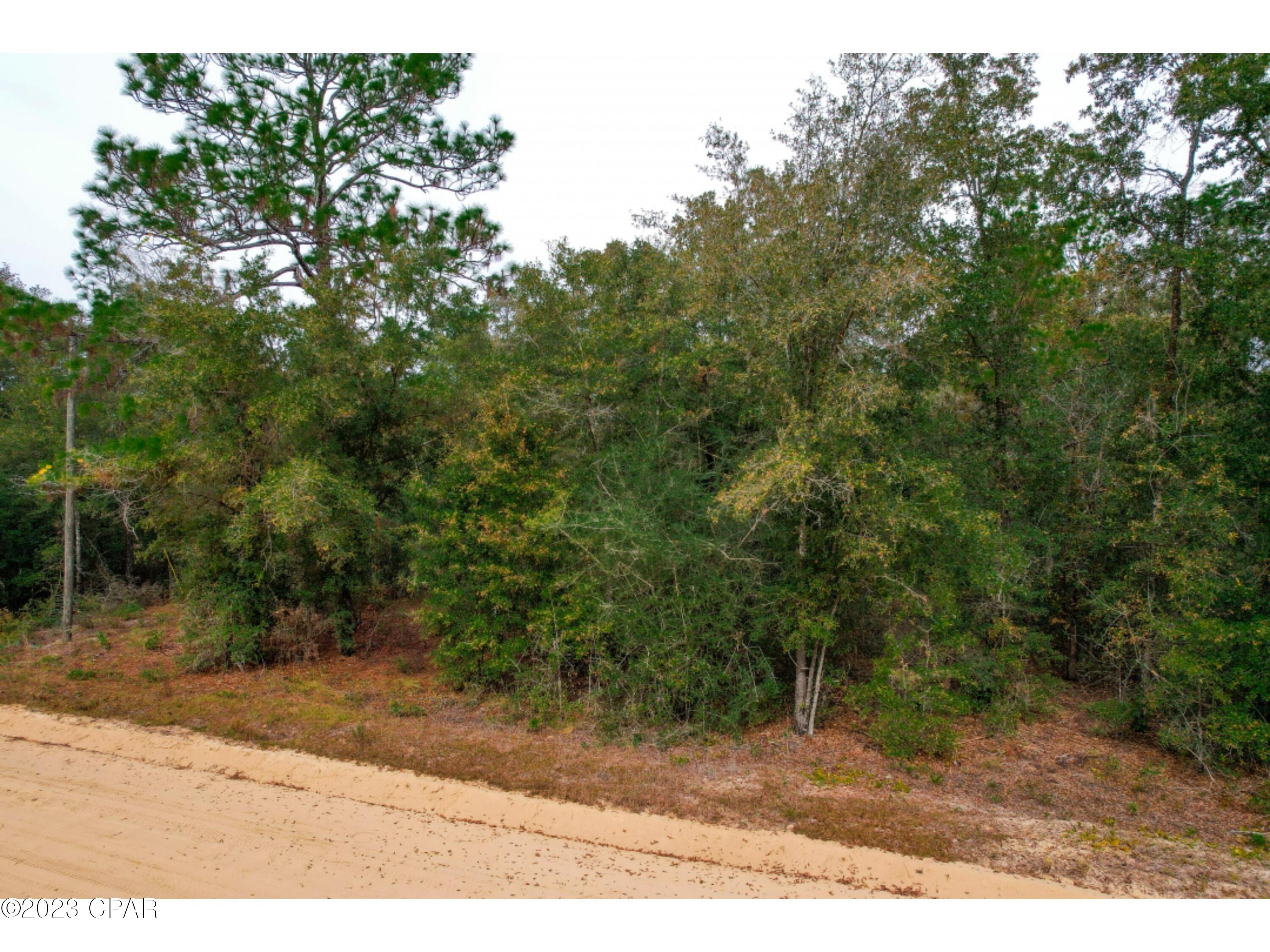Bay County Estates Unit 1 - Land