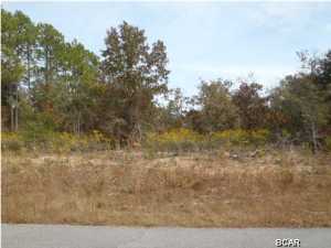 Enjoy life in a rural setting in this established neighborhood of Sunny Hills in southern Washington County featuring rolling hills, beautiful natural landscaping with 26 lakes and ponds for your fishing and boating enjoyment. If golf is your game, then you will enjoy the Sunny Hills Golf & Country Clubs 18-hole course and dont forget lunch at Simply Green. This lot offers the homeowner easy access to many activities close to home and then lets not forget the Gulf of Mexico is within a 30 minute drive for your beach time enjoyment!!ADJACENT LOT AVAILABLE, SEE MLS#625802, Lot dimensions are approximate.