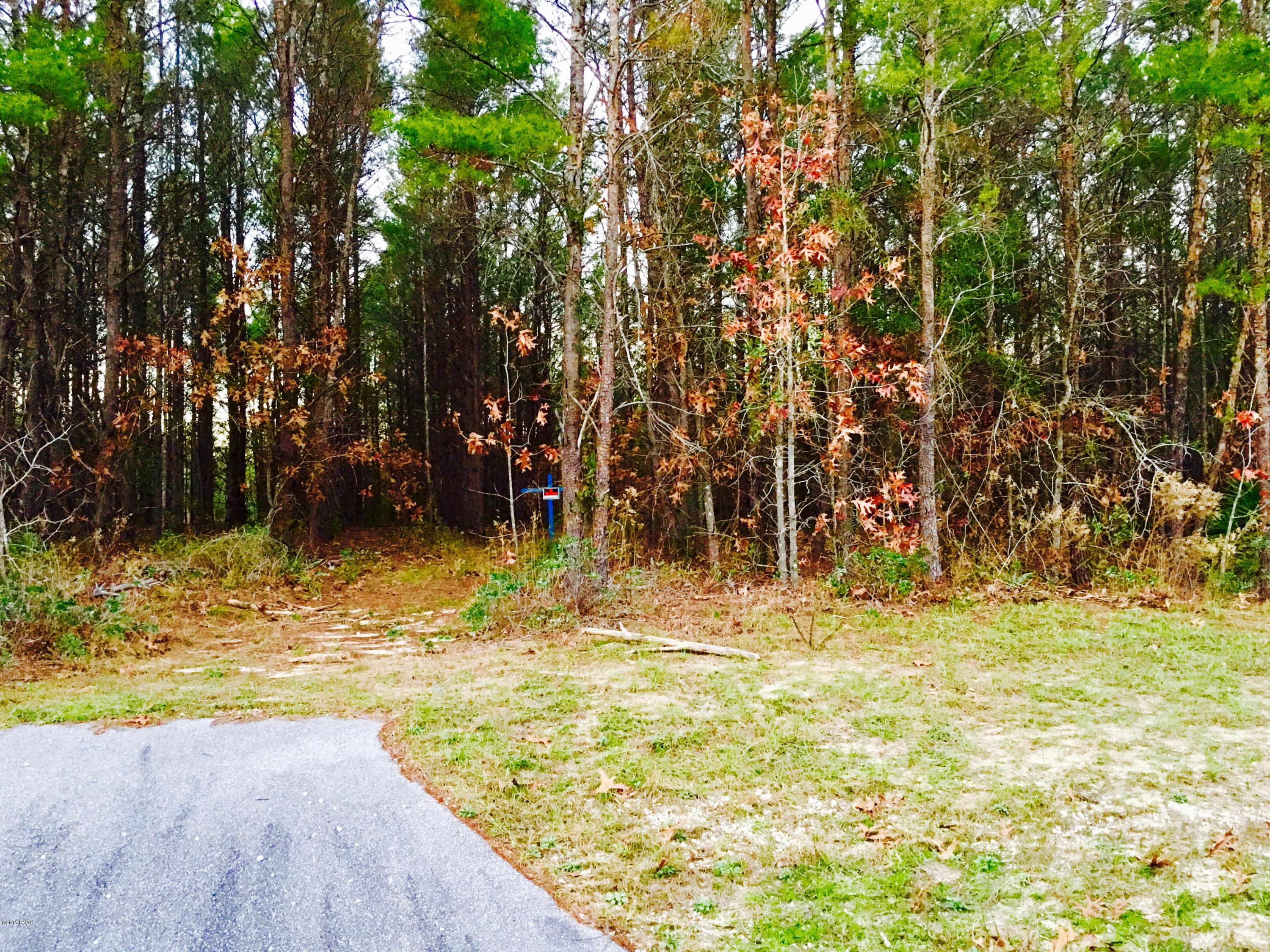 Nicely wooded parcel near Deane Bozeman School -- a sought-after school zone for grades K-12. Owner states that the parcel has had a mobile home and has a septic tank and well.  The widest part of the lot is White Western Lake Ln which is accessed by White Western Springs Rd and is in an area of paved roads and nice homes.