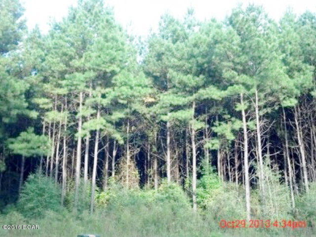 Reedy Creek - Land