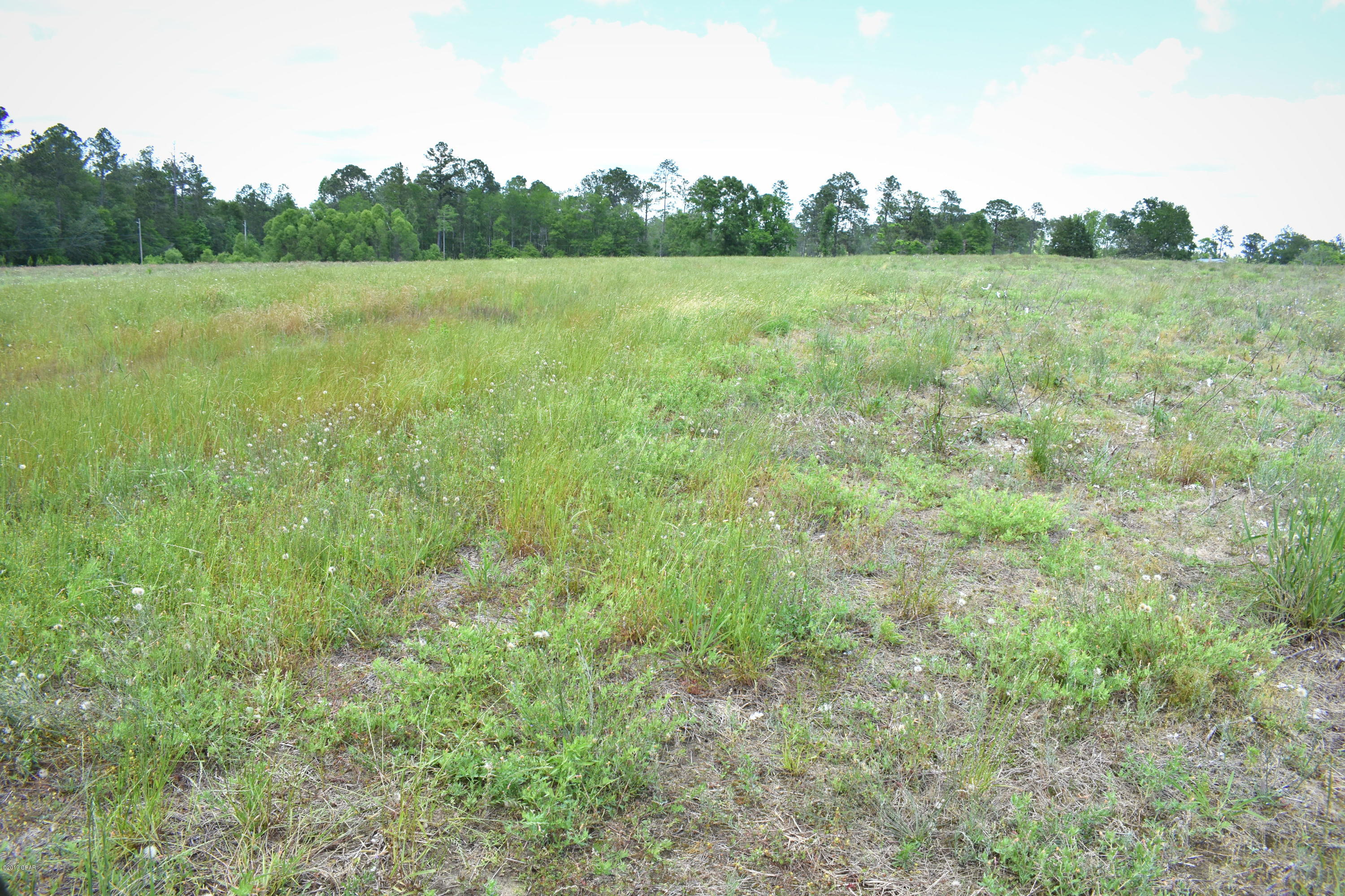 **Owner Financing Available** Cleared and ready for your new home this 5.3+/- acre parcel offers more than 290 feet of paved road frontage and is conveniently located between Chipley and Vernon. Additional adjoining acreage available.