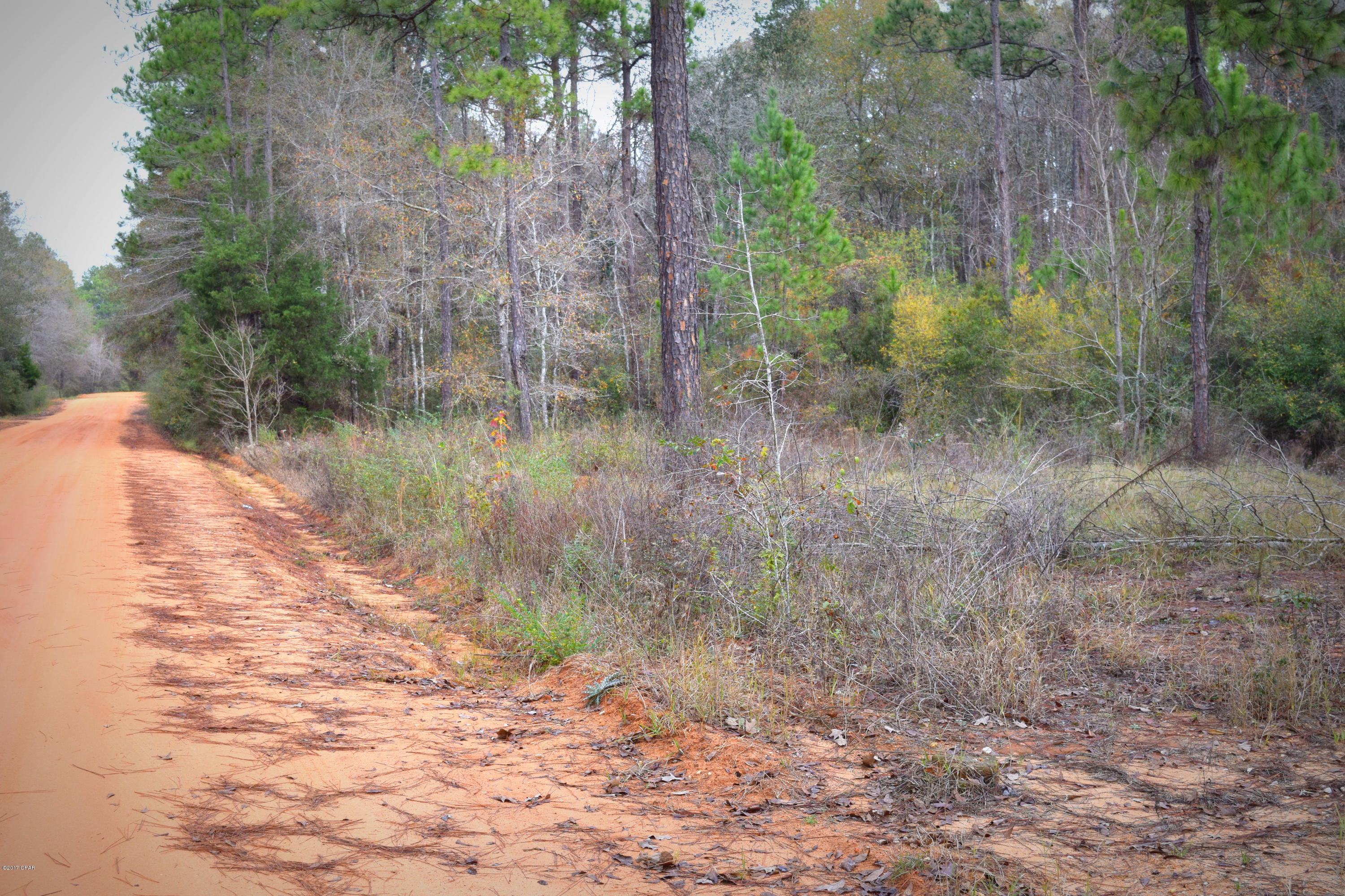 This primarily wooded lot located off Merry Acres Dr would make a great home site. Consisting of more than 2.5 acres this property is conveniently located just outside city limits.