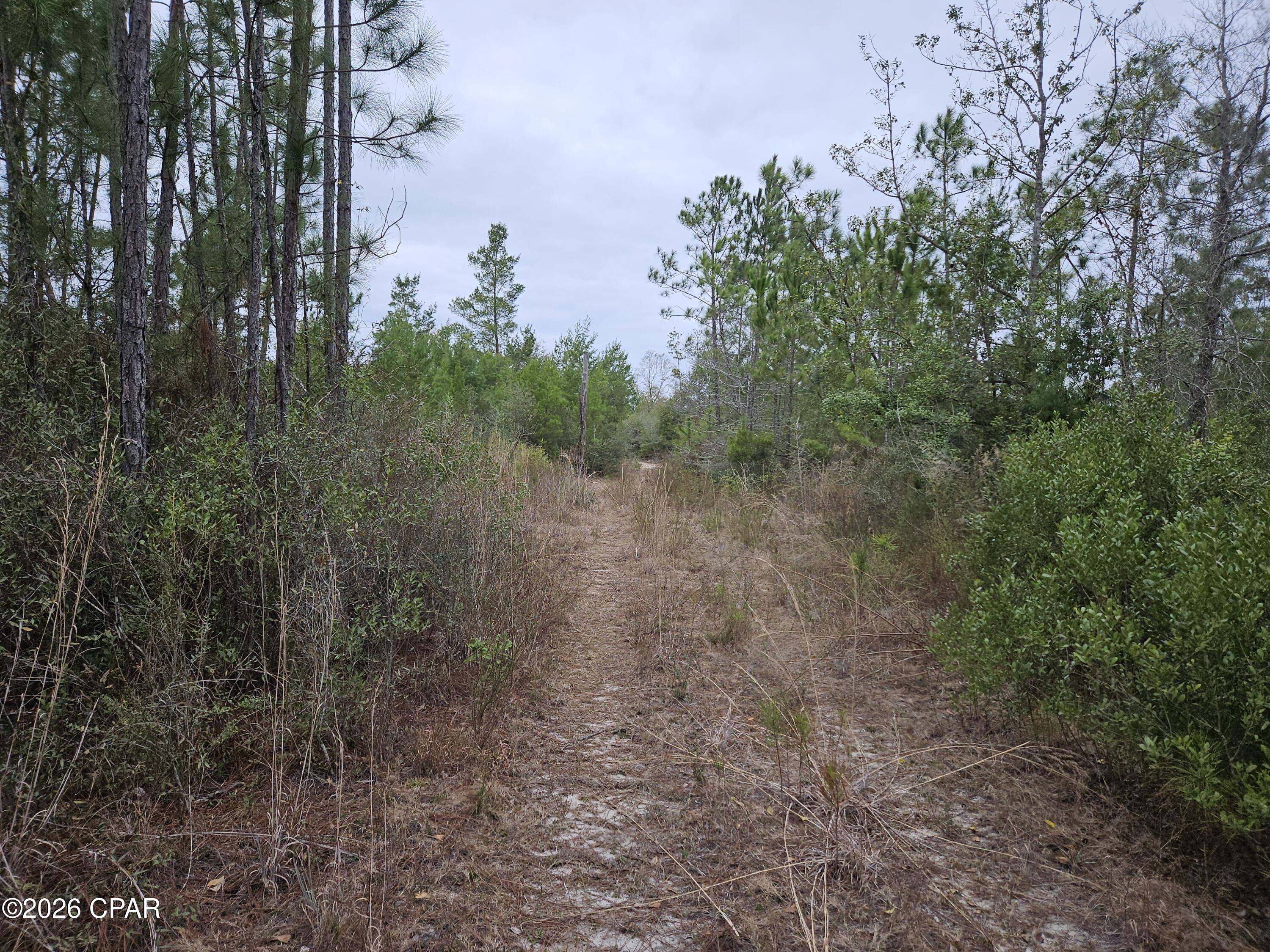'CURRENTLY UNDER CONTRACT, SELLER WILL CONSIDER BACKUP OFFERS' Looking for about 10 just outside Panama City with room to grow? Here is a flat 10 (+/-) acres ready for your home. The flat acreage is on Singer Road just a mile off Hwy 20 that offers privacy and plenty of room for a home, pole barn, out buildings, or space for your horses. The lot has not been improved so new owners can shape it with clearing or leave it wooded except for what is essential to specific needs. Located just inside Washington County, it is only a few miles off Hwy 231 with quick access to Panama City. The county is working on paving Singer Road and informed residents of their intent. Click on 'Documents' to see the letter sent to the property owners.