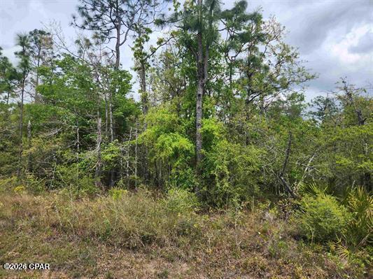 Nice wooded country lot close to 231 and private.