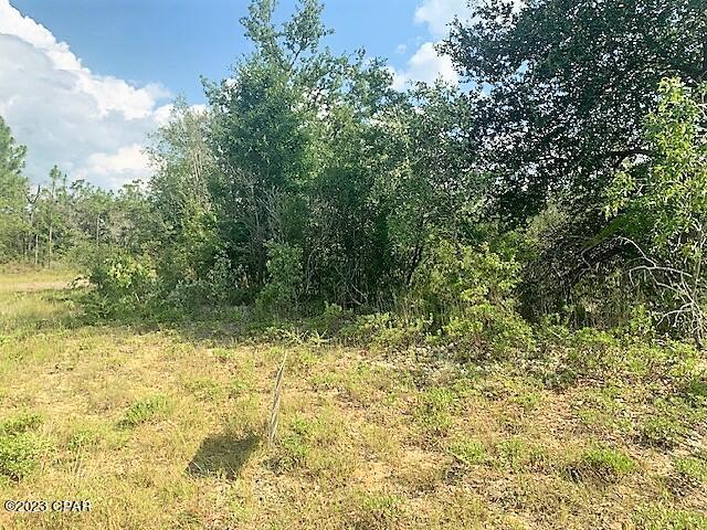 Want a remote location to build your new home? This may be for you! This corner Lot is located on the outskirts of growing subdivision Sunny Hills , and backs up to conservation land. Centrally located only 45 miles to the Worlds Most Beautiful Beaches in Panama City, FL  and 50 miles from Dothan ALabama. Go look and make an offer today!
There are deed restrictions (attached).