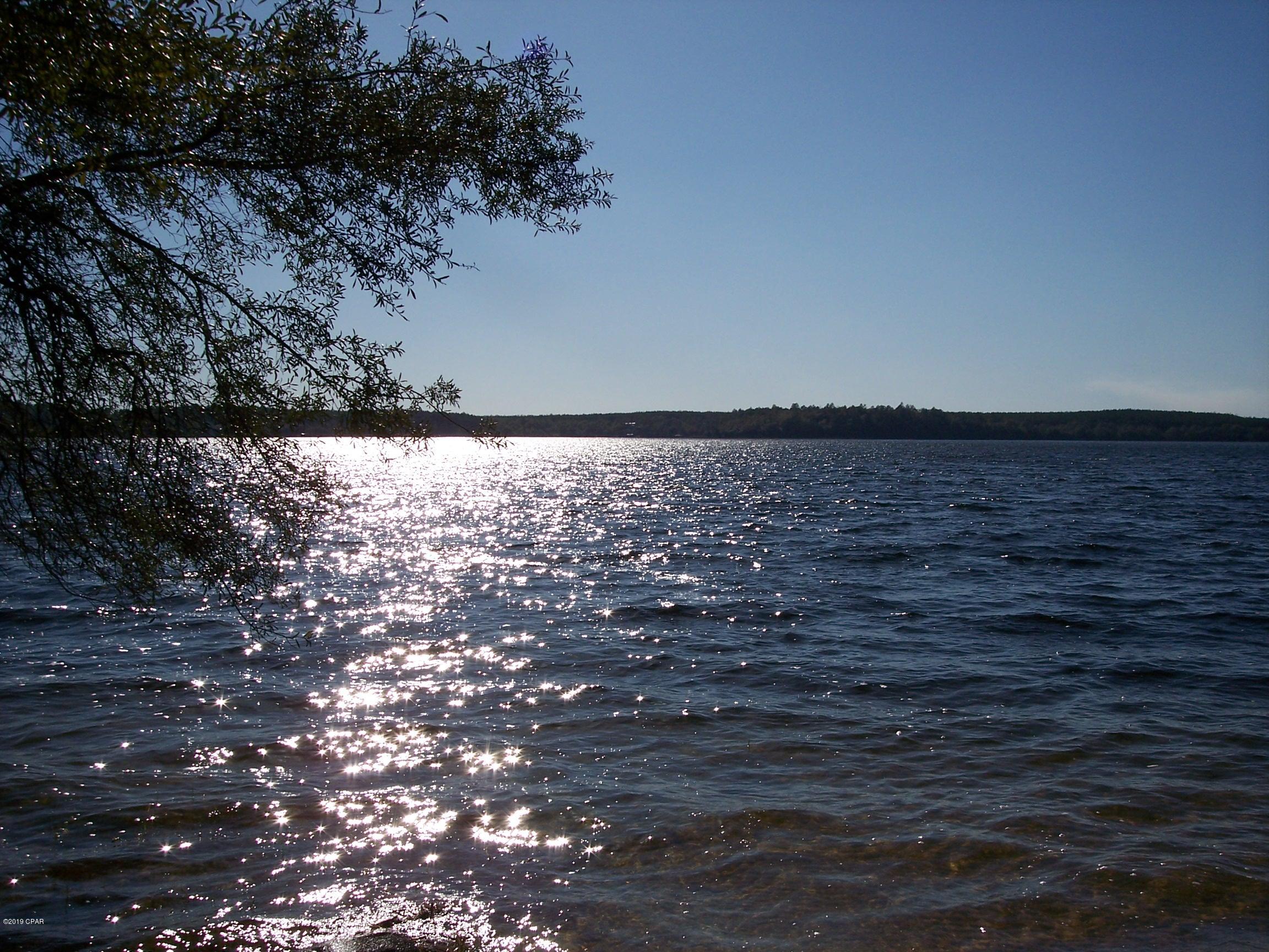 Water view!! 1.21 ac natural wooded, divided, and ready for building or mobile home.  Well and Septic are are already in place as well as Power available. Beautiful, quiet, area on 990 acre Porter Lake with a concrete boat launch for anyone to use. Also a park area in vicinity for picnics. Free fishing year round. See Photos!