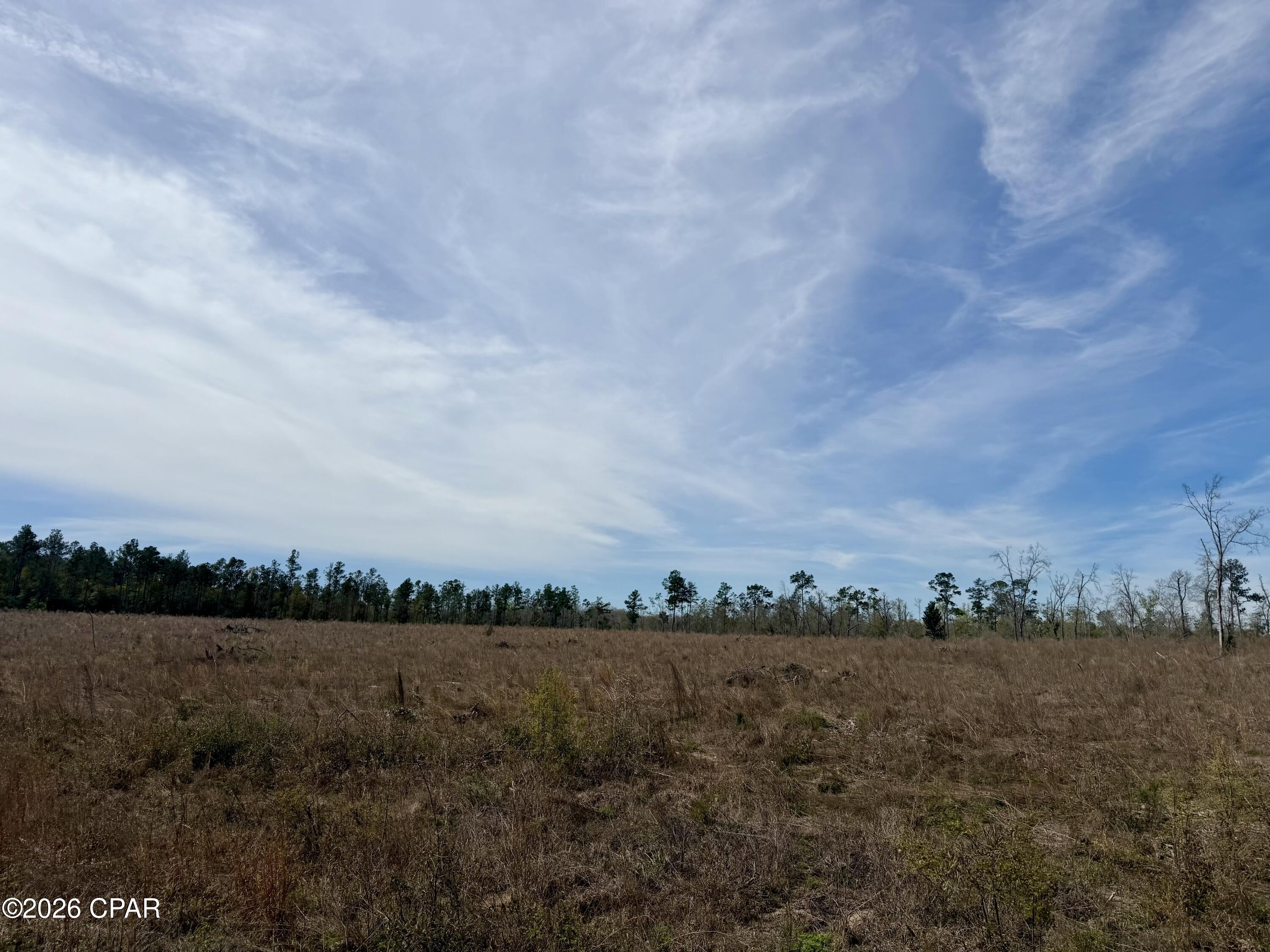 Looking for the perfect spot to build, invest or escape the hustle and bustle? This 23-acre property just outside Marianna might be exactly what you've been waiting for!  This beautiful piece of land offers endless possibilities! Whether you're dreaming of a homesite, a recreational tract or a smart investment, this property has the space and potential to make it happen.  Enjoy the peace and quiet of country living with plenty of room to roam, while still being conveniently located near town for shopping, dining and everyday needs.  Come see it for yourself and start planning your future today!
