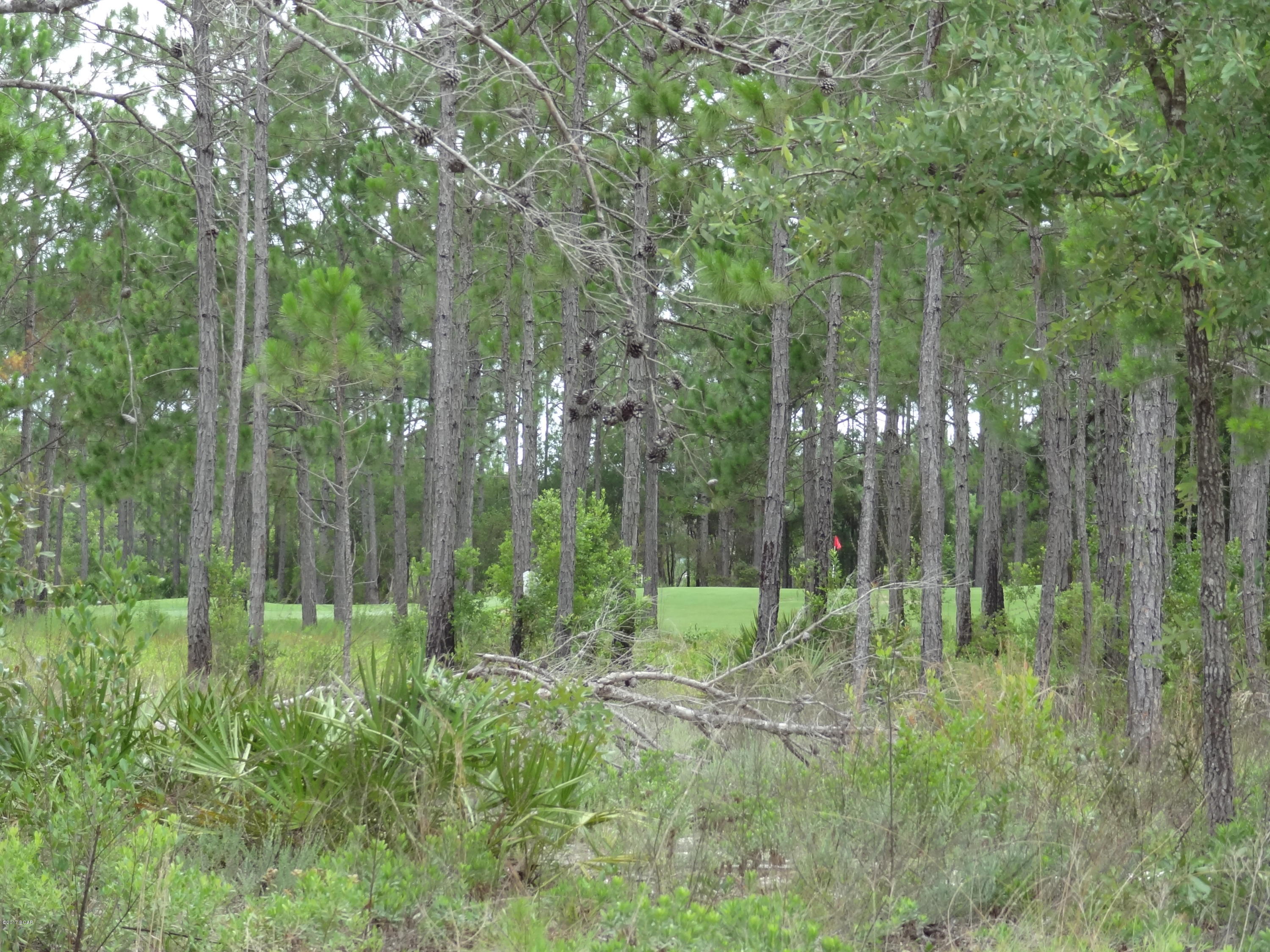 Wild Heron Phase I - Land