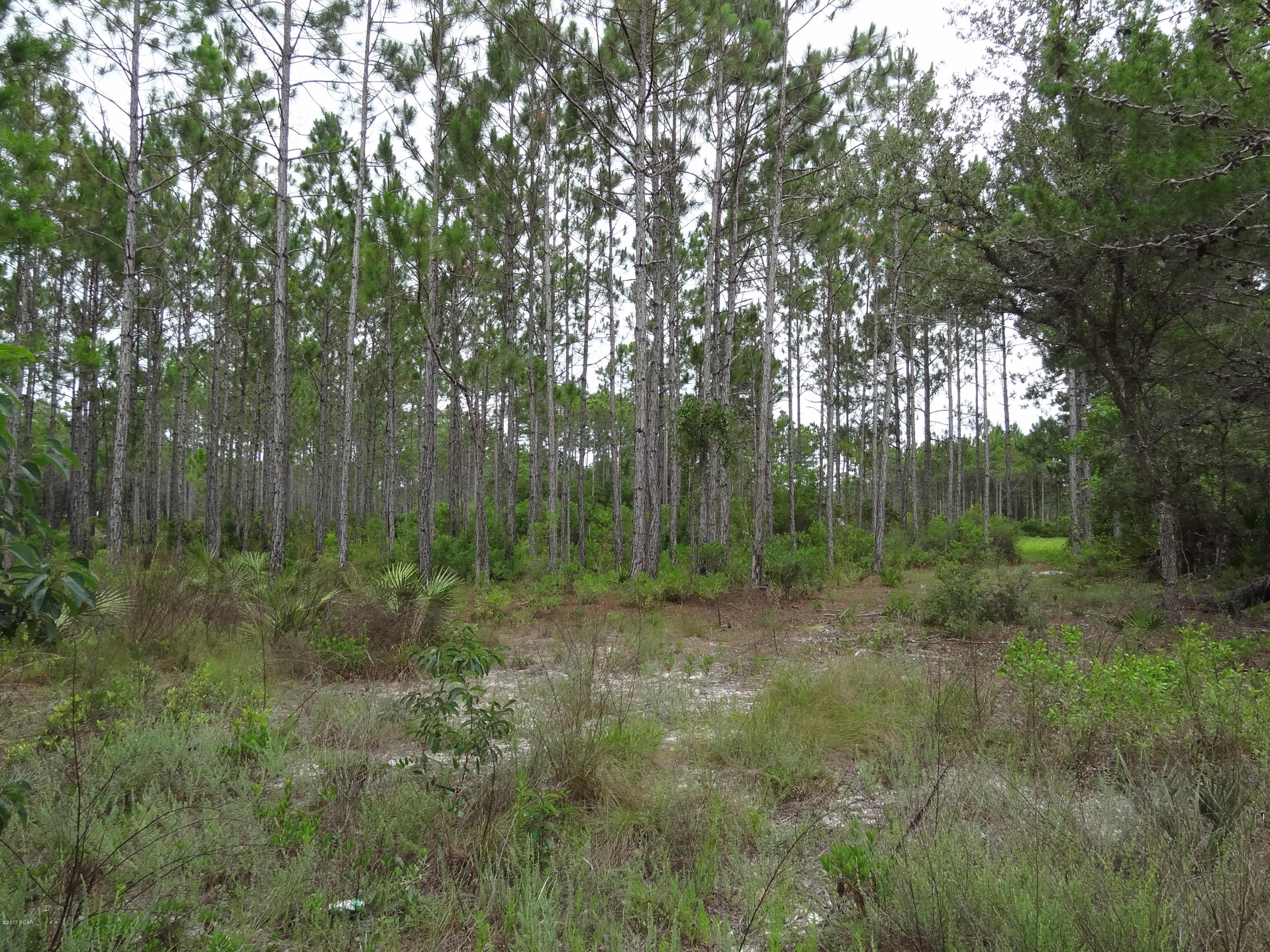 Wild Heron Phase I - Land