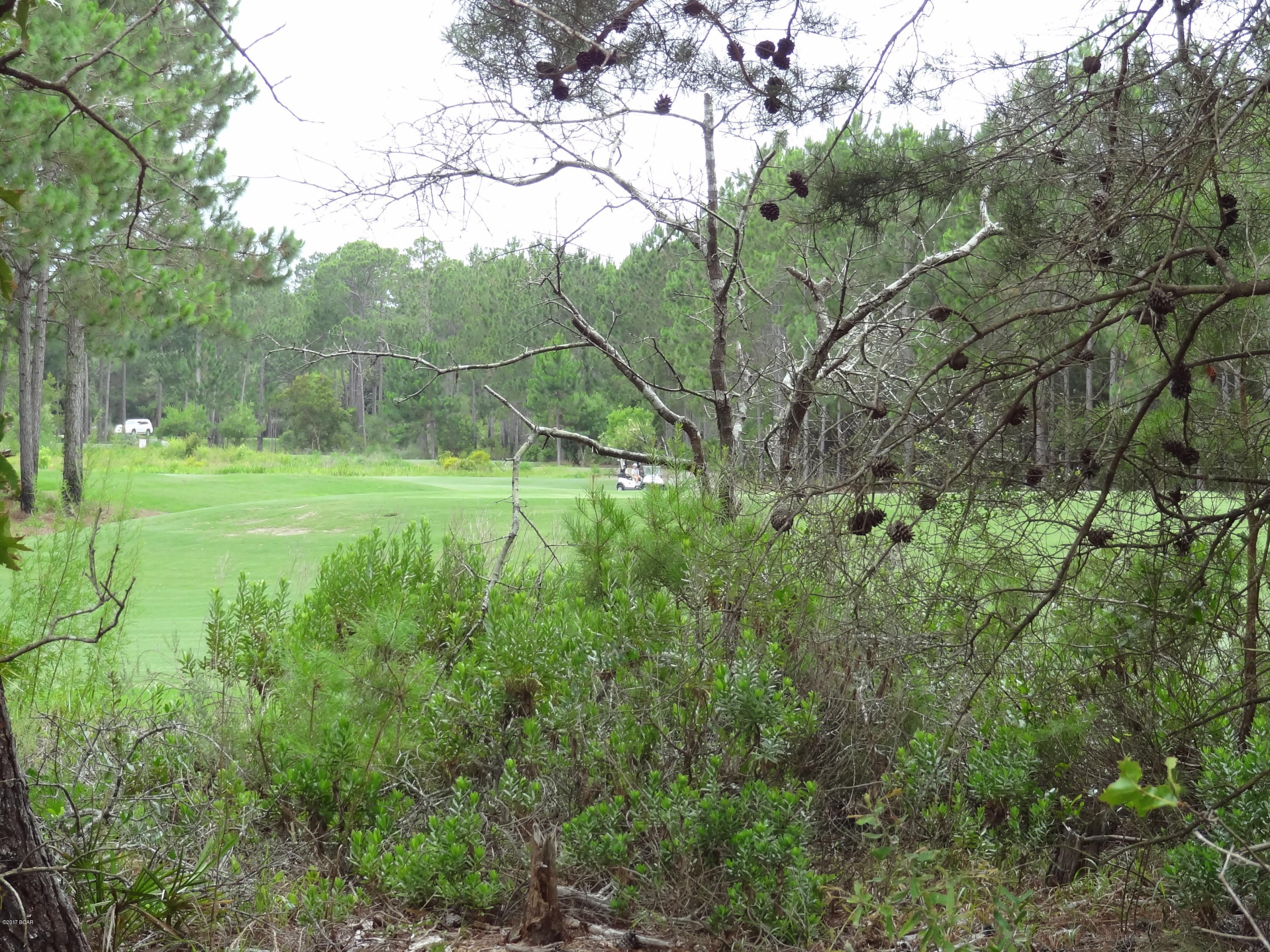 Wild Heron Phase I - Land