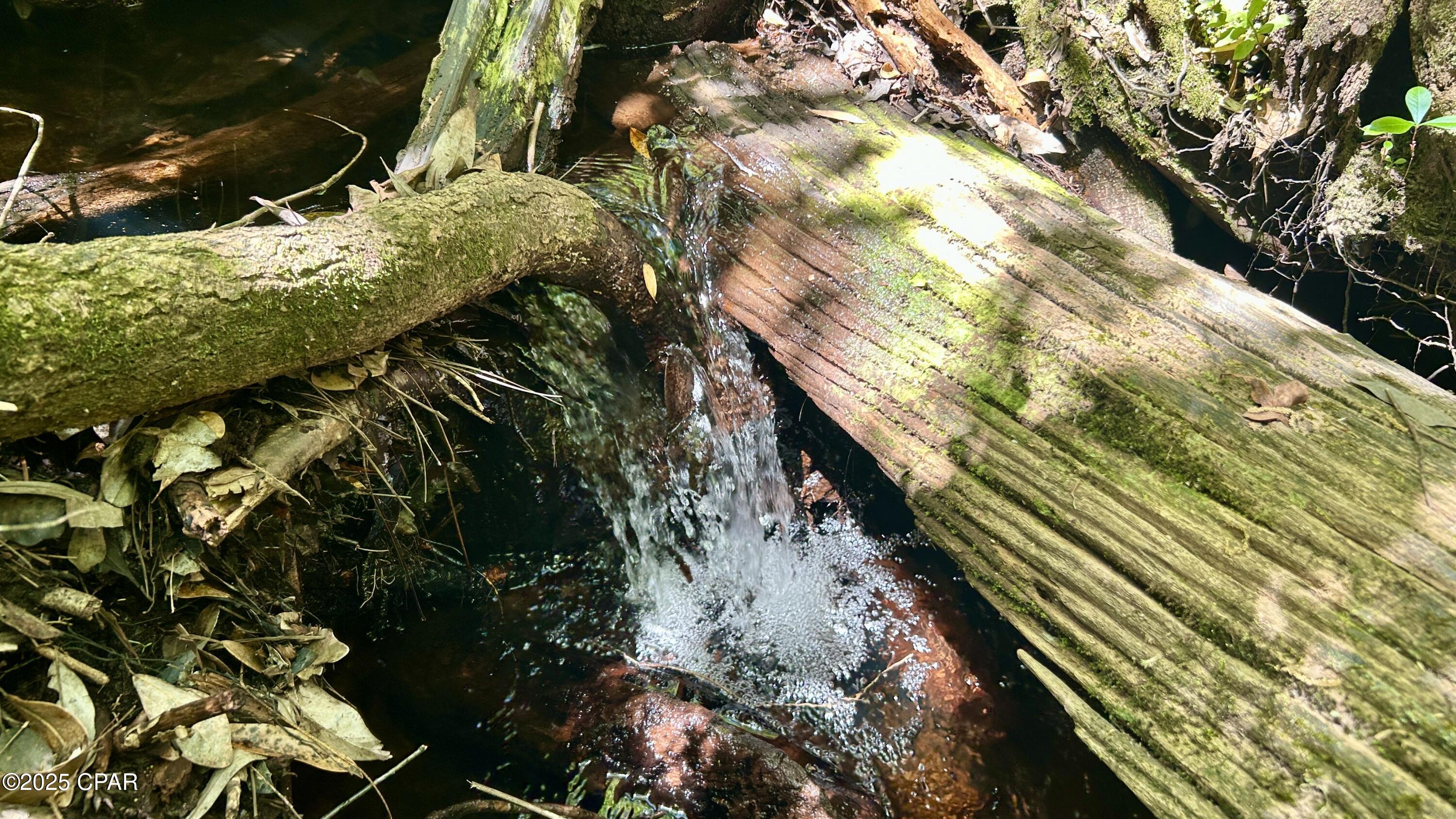 Located deep within Florida's Blackwater State Forest, awaits a rare business opportunity presented by way of the pristine Sand & Gravel aquifer of Northwest Florida. Aside from an adjoining 20-acre tract which can be purchased as one with this property, the tract is completely surrounded by national and state forest with Conecuh National forest to the north and more than 180,000 acres of Blackwater state forest encircling the land on all sides. This natural buffer provides a rare level of seclusion and safeguards the property's water resources from surrounding encroachment. The 20-acre tract includes a 10-acre section zoned M1 Restricted Industrial that's specifically designated for commercial bulk or bottled water production. This zoning authorization, combined with significant infrastructure already in place, positions the property as a viable water production site. Installed on the land are four state certified six-inch stainless-steel wells, each capable of producing approximately 50 gallons per minute. Together, these wells can sustain a collective output of up to 100,000 gallons per day. Additional wells have been drilled and are ready to be completed with casings and pumps, offering further capacity for expansion. Hydrological testing has been extensive. A 25-year drawdown study confirmed that production levels remain sustainable with negligible impact on the surrounding aquifer. As mentioned, the water is sourced from the Northwest Florida Sand and Gravel Aquifer, a geological formation known for its natural filtration. As a result, past draw-down tests from the wells demonstrate exceptionally low total dissolved solids (TDS) levels, providing a consistently clear and potable supply. While the property's primary distinction lies in its water resource infrastructure, the property also offers enormous recreational potential, being that it abuts one of the largest continuous ecological communities in the southeast. Outdoor opportunities in the area include hunting, camping, hiking, and wildlife observation. Whitetail deer, turkey, and other native game species are abundant in the region and are supported by the diverse forest habitats and conservation areas found within this unique Forest. Access to the property is through this magnificent Blackwater Forest and provides a liberal 40-foot ingress/egress easement from Cleveland Road. All information deemed reliable but not guaranteed; buyers should verify independently. Buyers are encouraged to perform their own due diligence, including verification of zoning, permits, water rights, and production capacities, to ensure the property meets their intended use. Give us a call today and don't miss out on this rare opportunity.