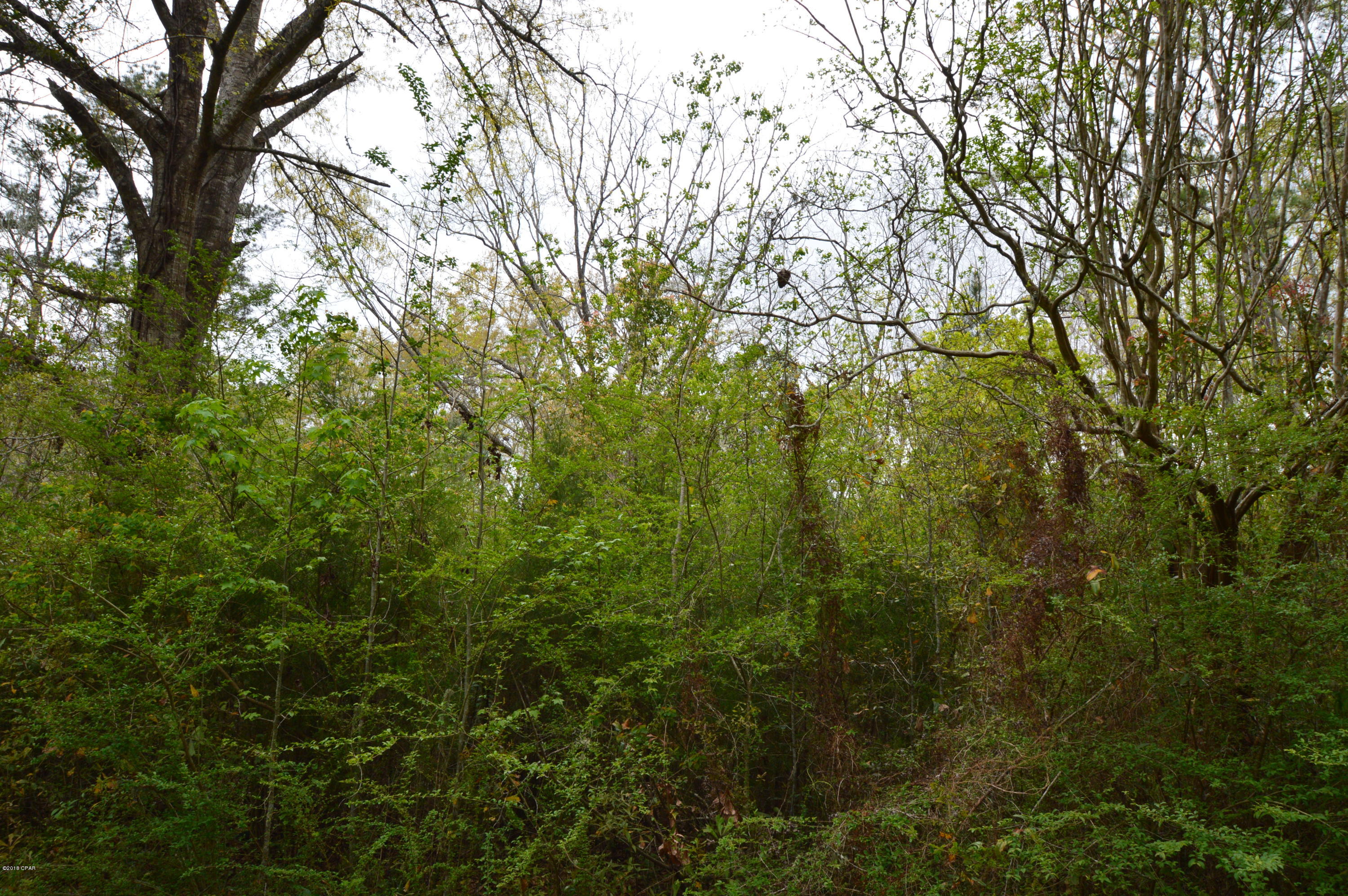 No Named Subdivision - Land