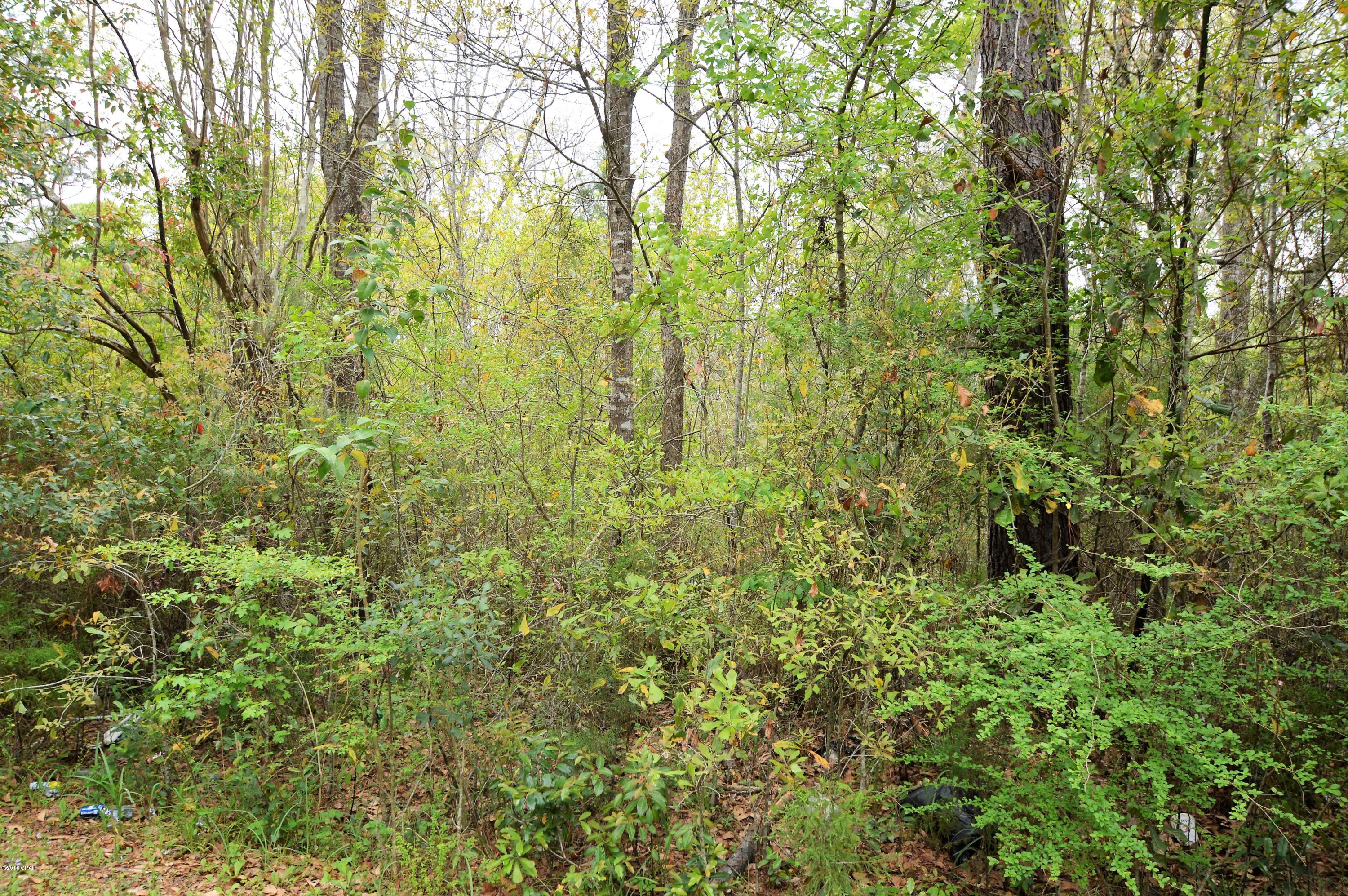 No Named Subdivision - Land