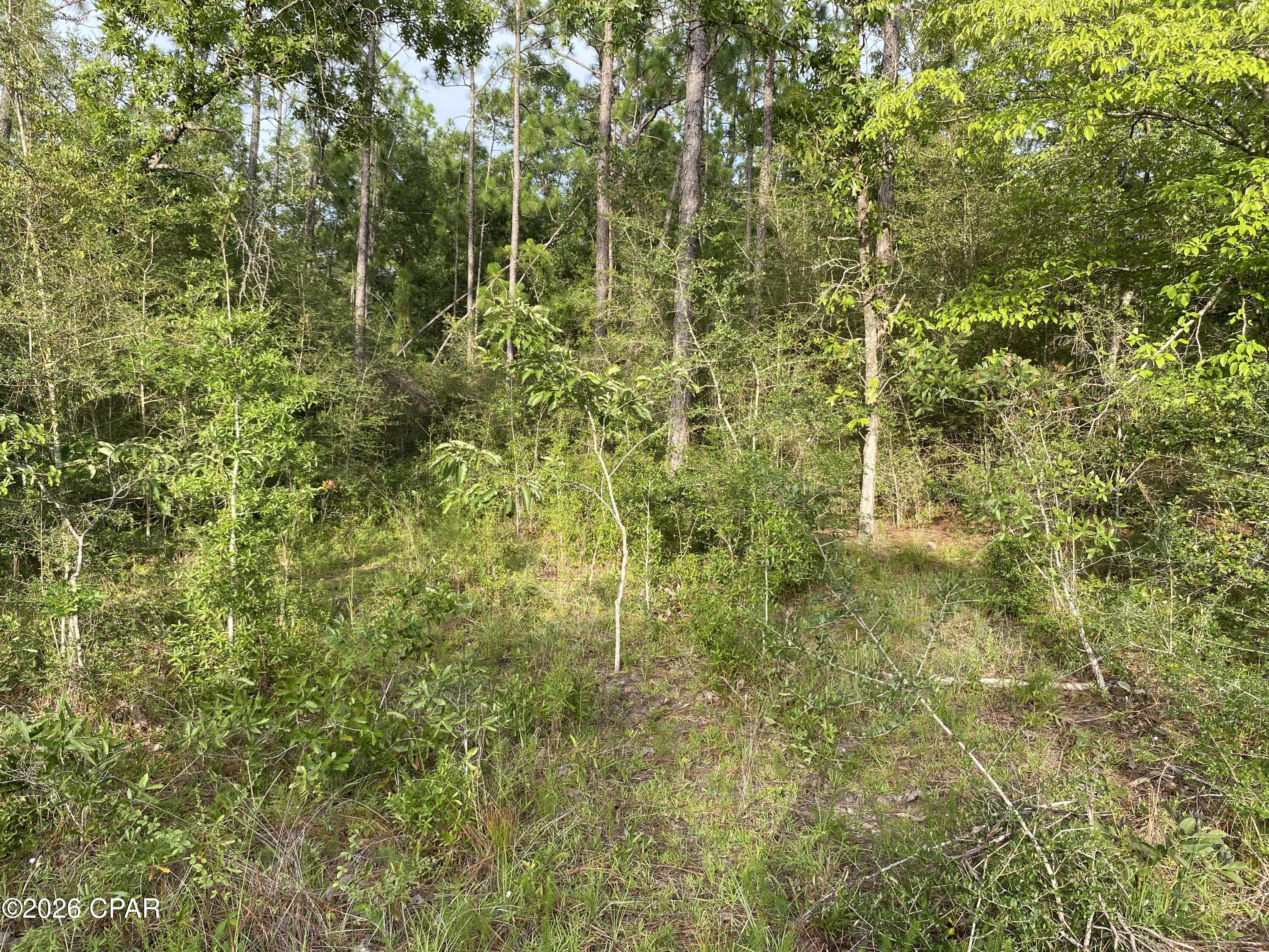 Compass Lake Hills Unit 6 - Land
