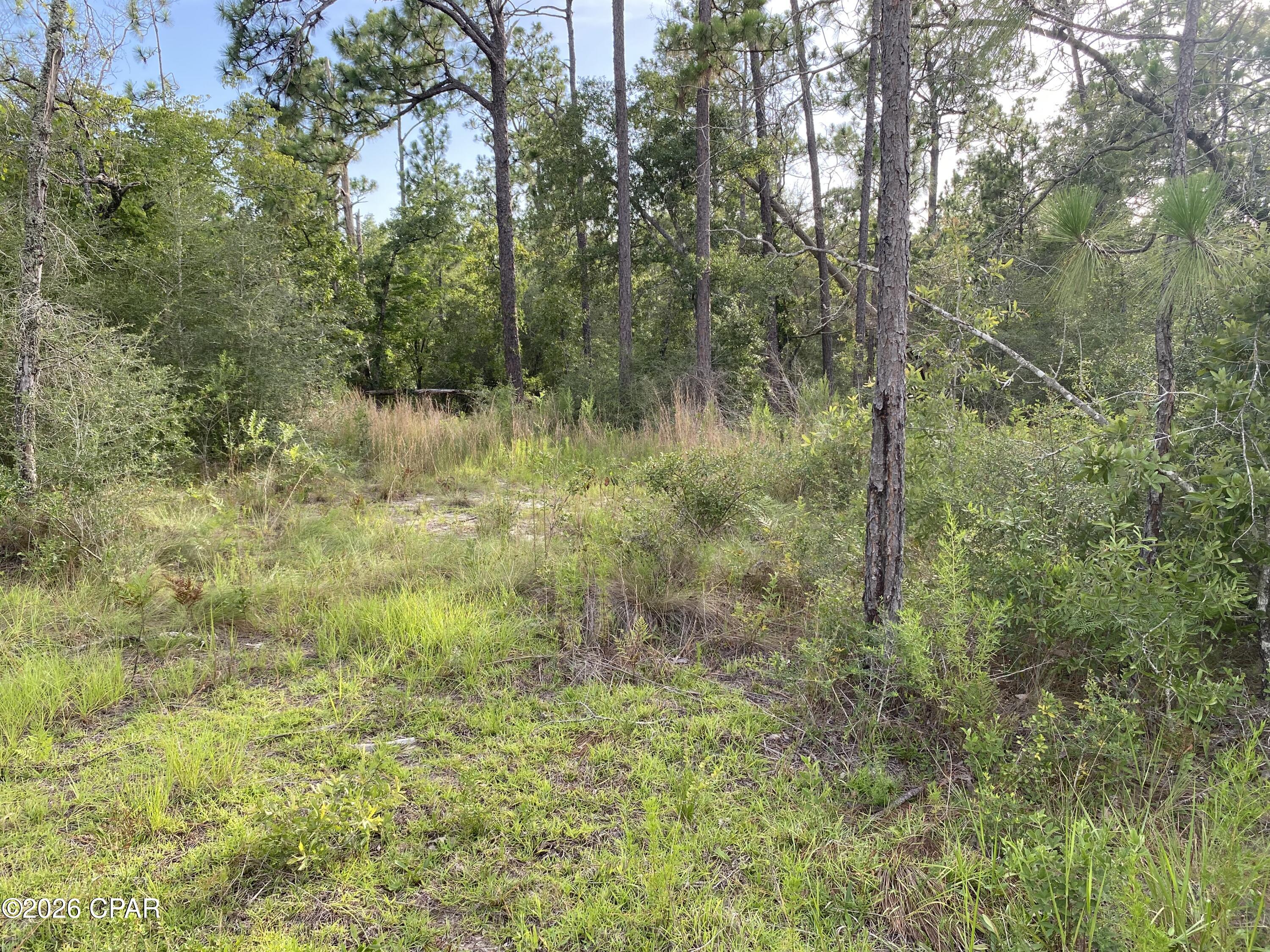 Compass Lake Hills Unit 6 - Land