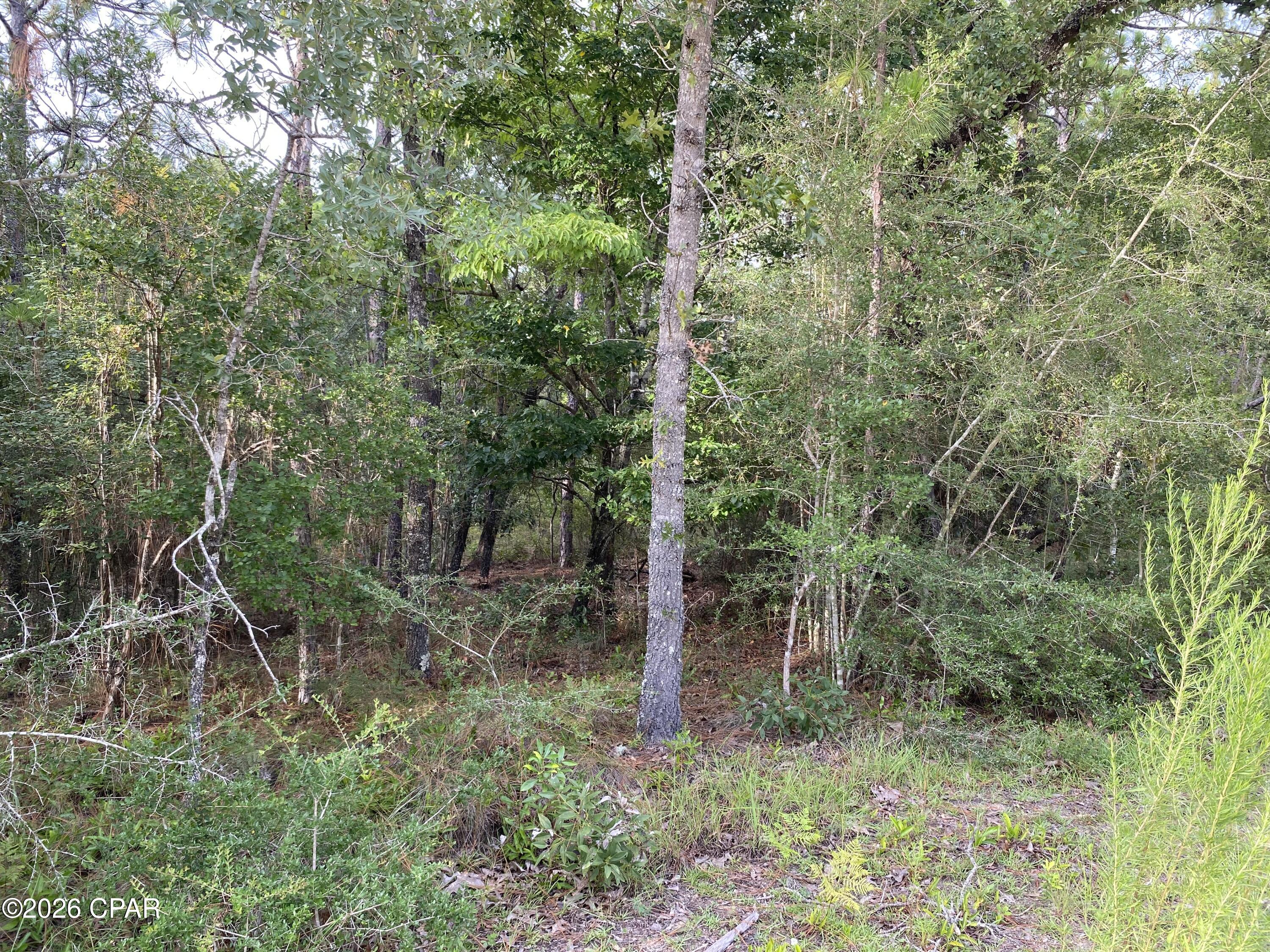 Compass Lake Hills Unit 6 - Land
