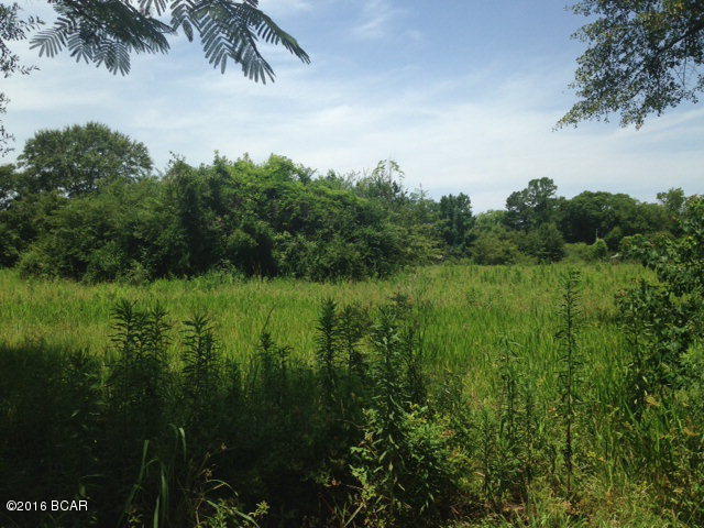 OVER 3 ACRE PARCEL LOCATED IN THE HEART OF CHIPLEY NEAR SHOPPING, DINING, SCHOOLS AND HEALTH FACILITIES. PROPERTY WOULD MAKE GREAT HOMESITE OR COULD POSSIBLY BE SUBDIVIDED. PRICED TO SELL.