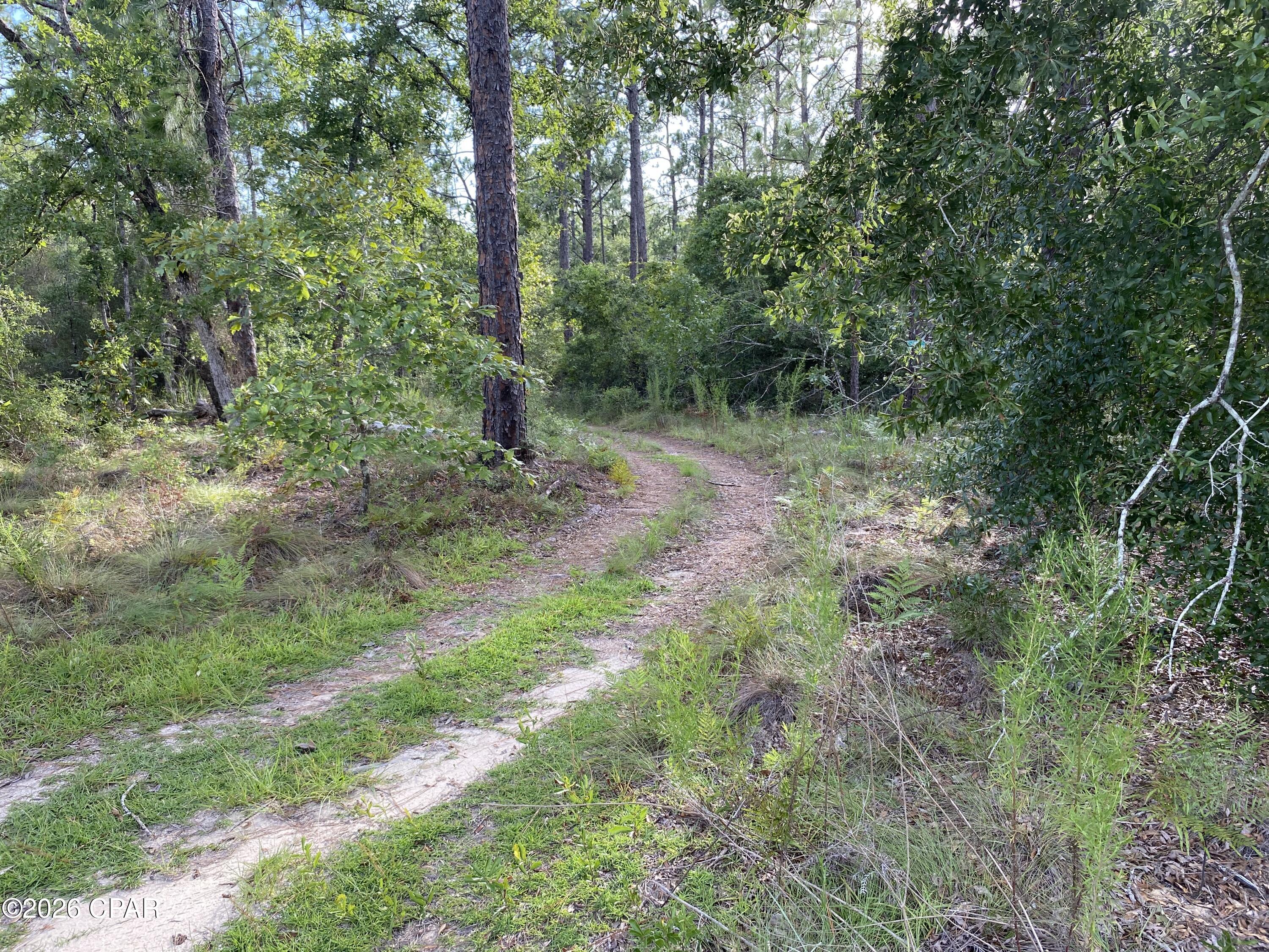 Compass Lake Hills Unit 6 - Land
