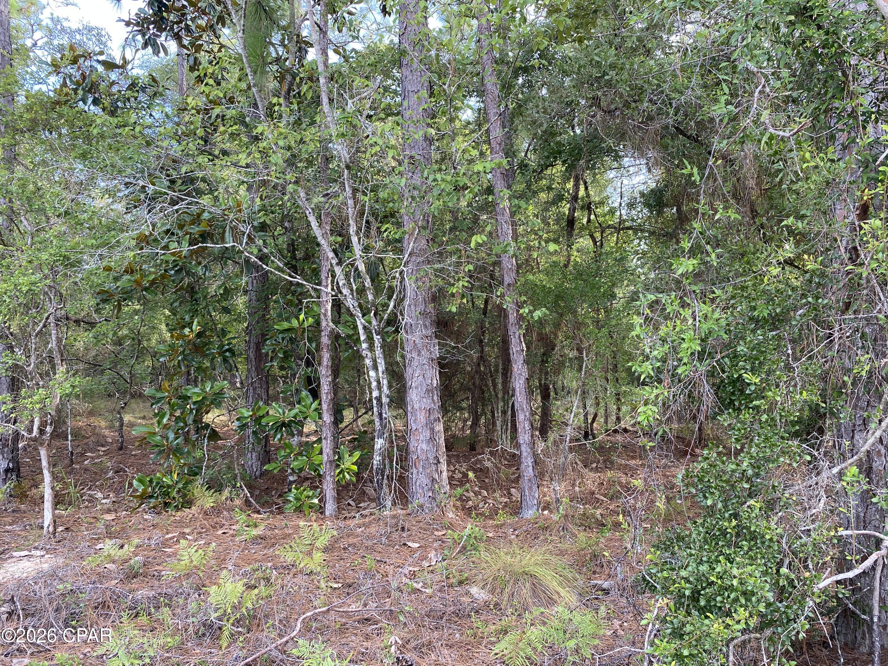Compass Lake Hills Unit 6 - Land