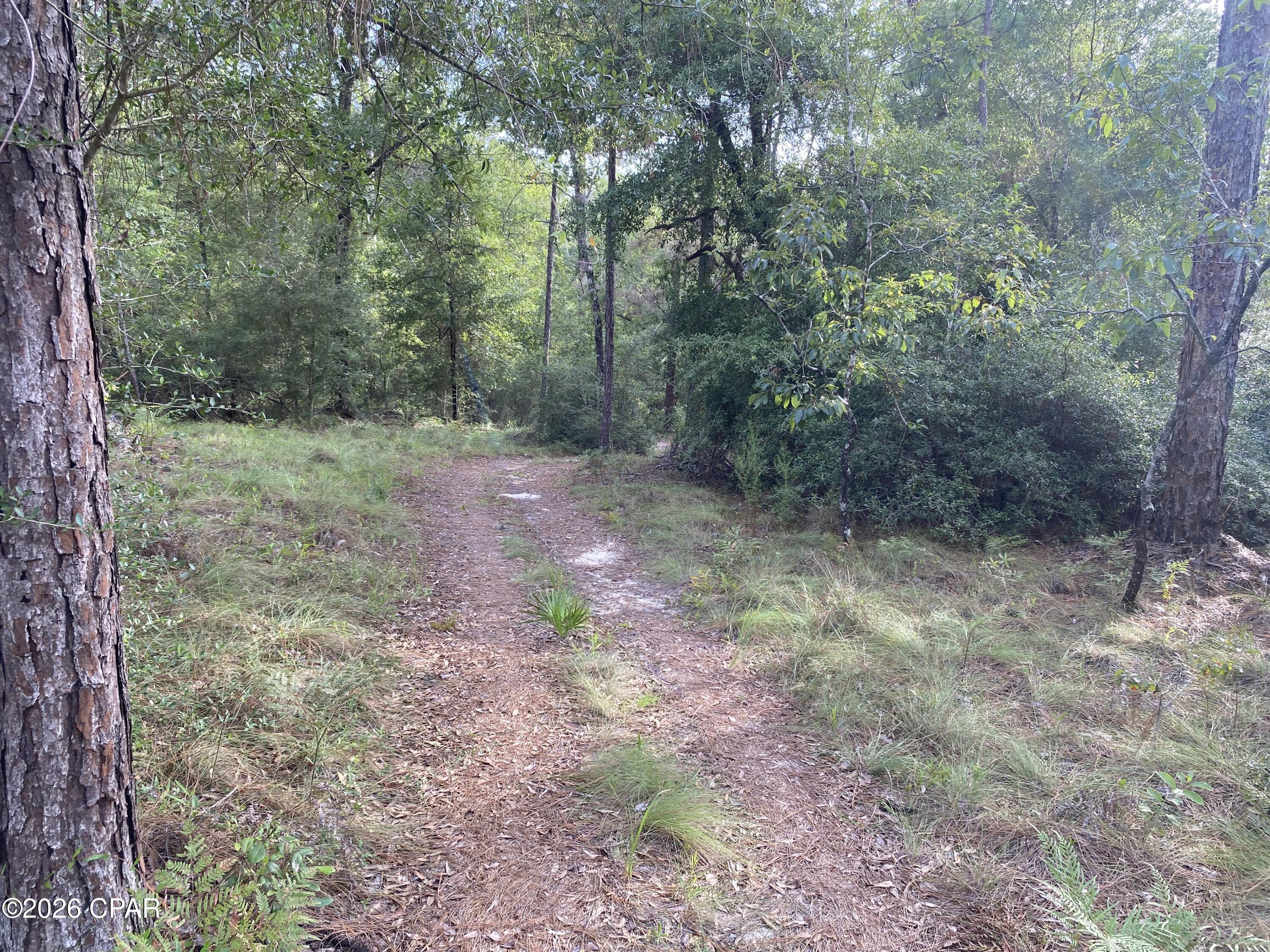 Compass Lake Hills Unit 6 - Land