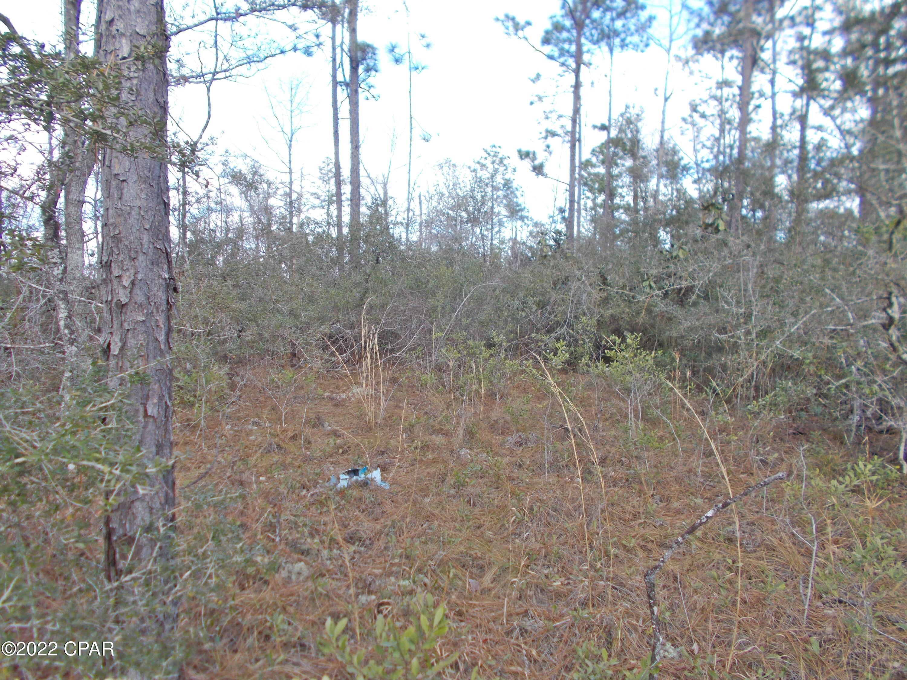 Compass Lake Hills Unit 3 - Land