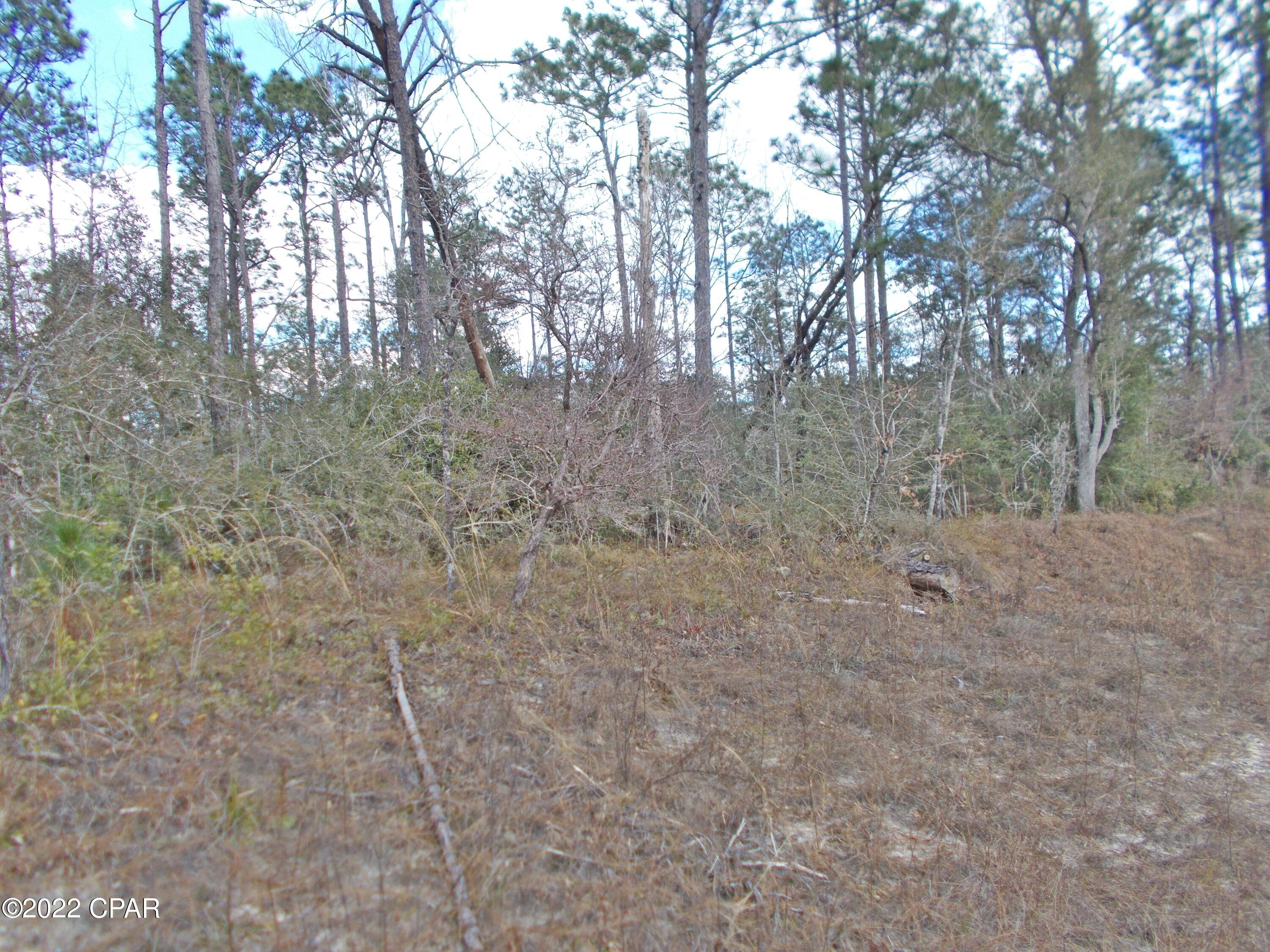Compass Lake Hills Unit 3 - Land