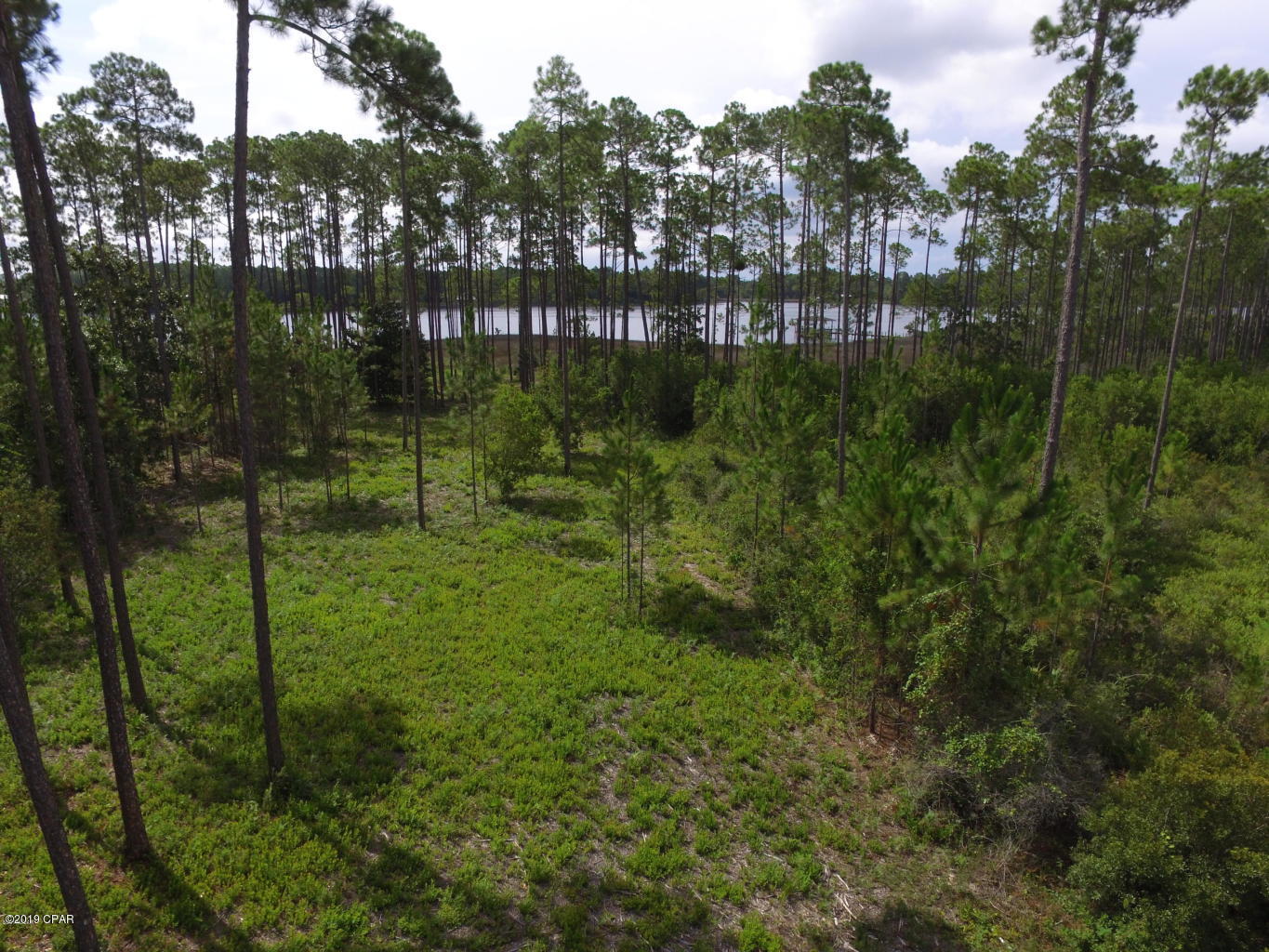 Laird Bayou - Land