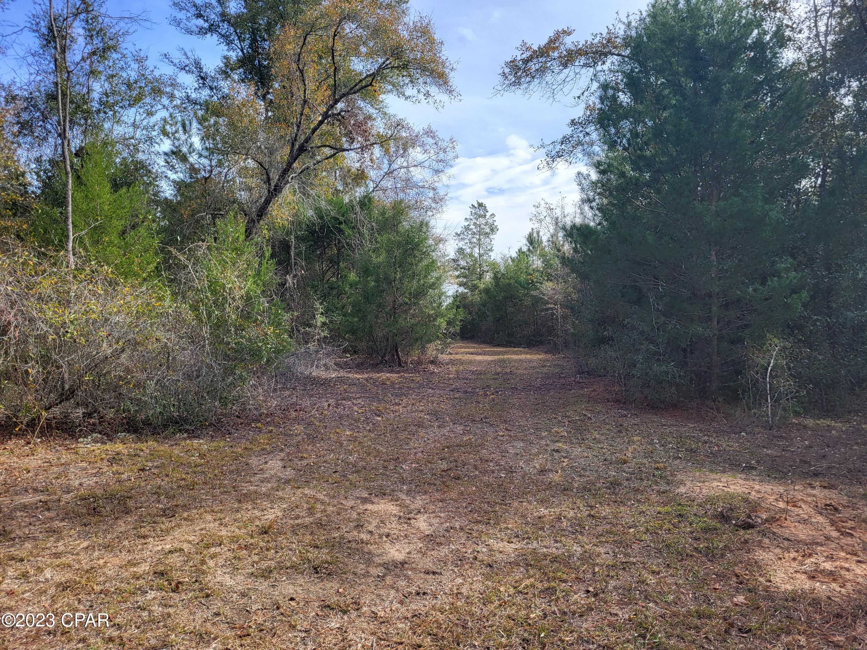 White Pond Plantation - Land