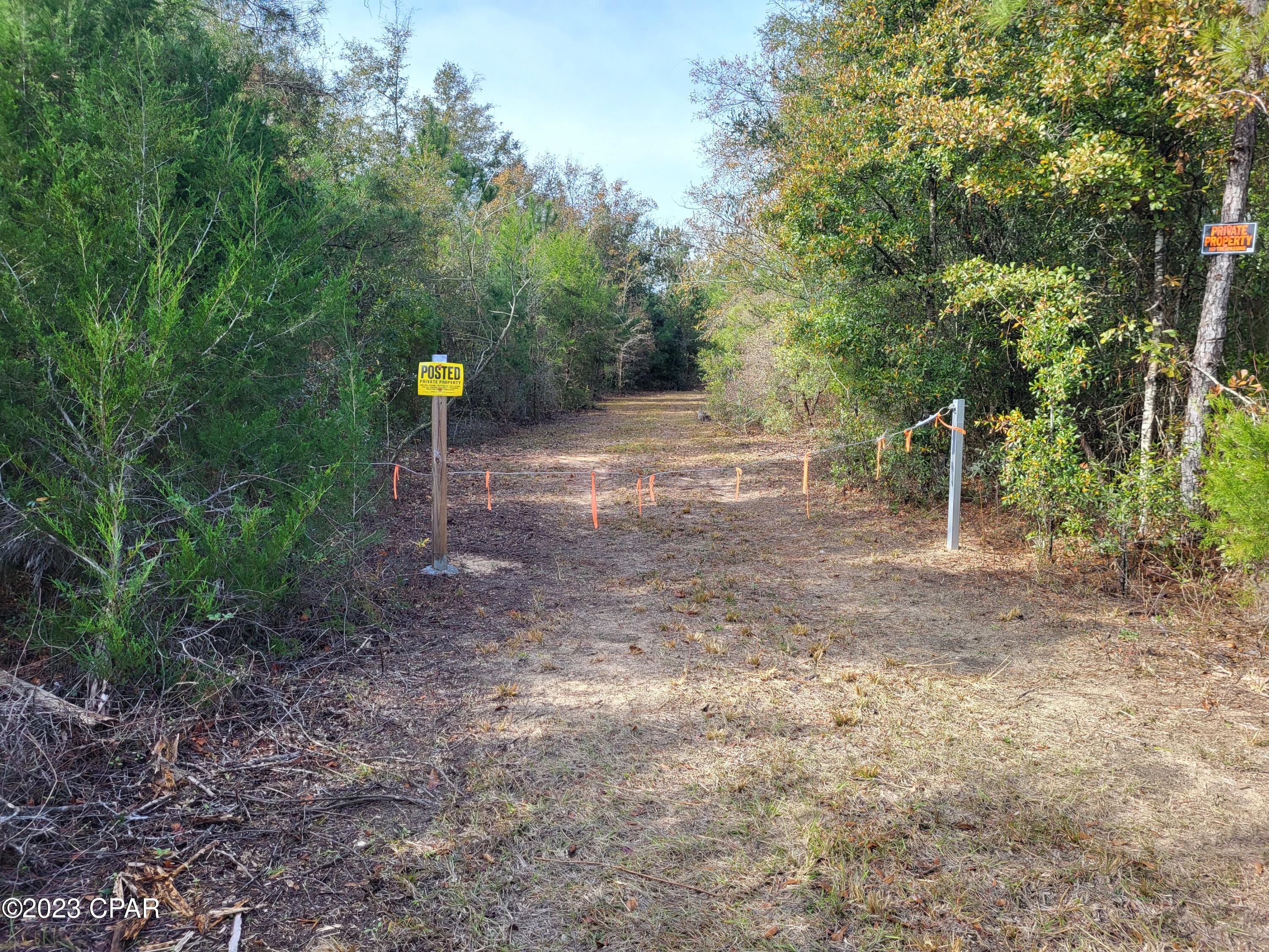 White Pond Plantation - Land