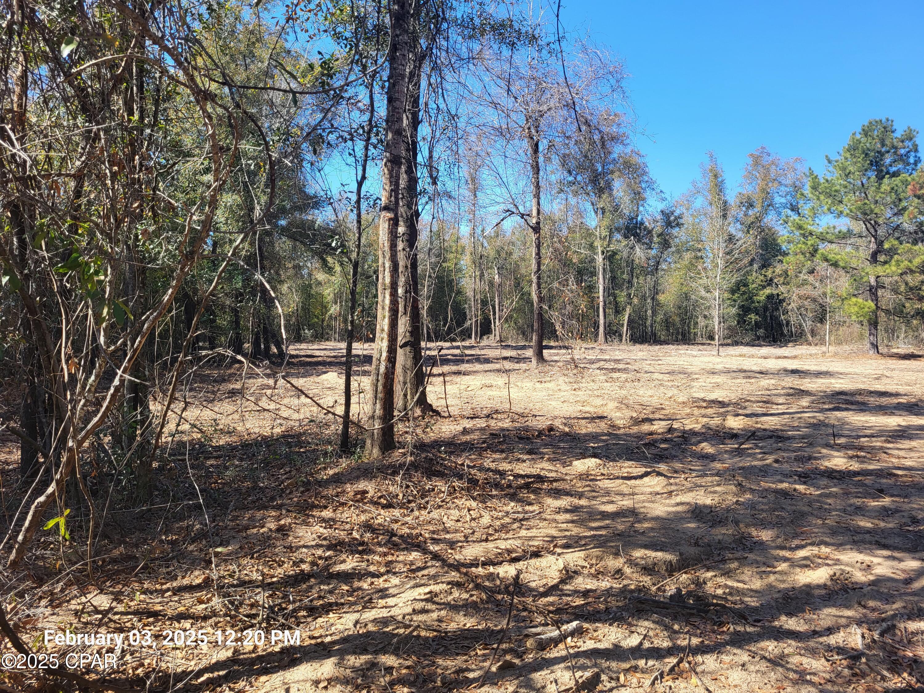 White Pond Plantation - Land