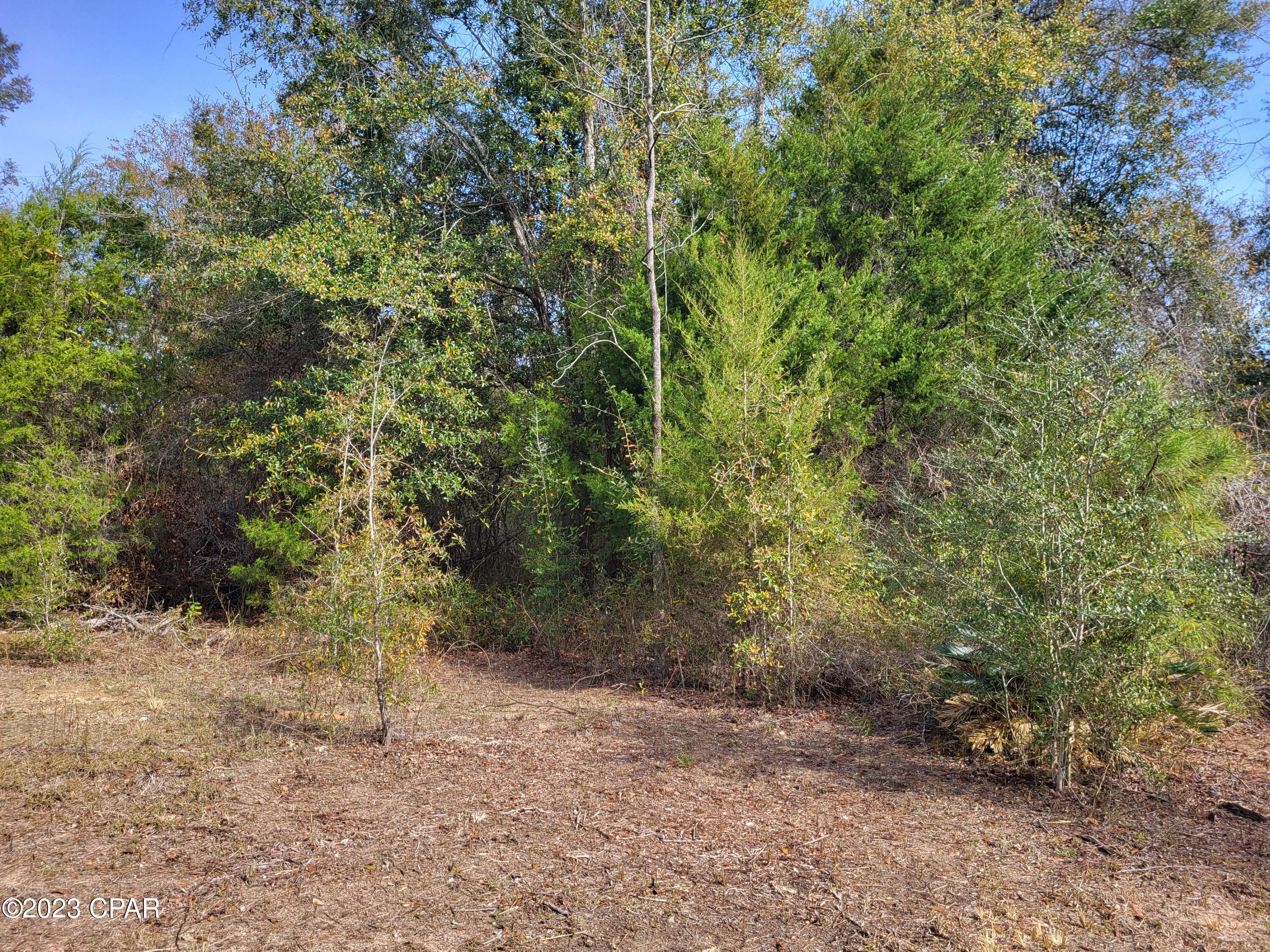 White Pond Plantation - Land