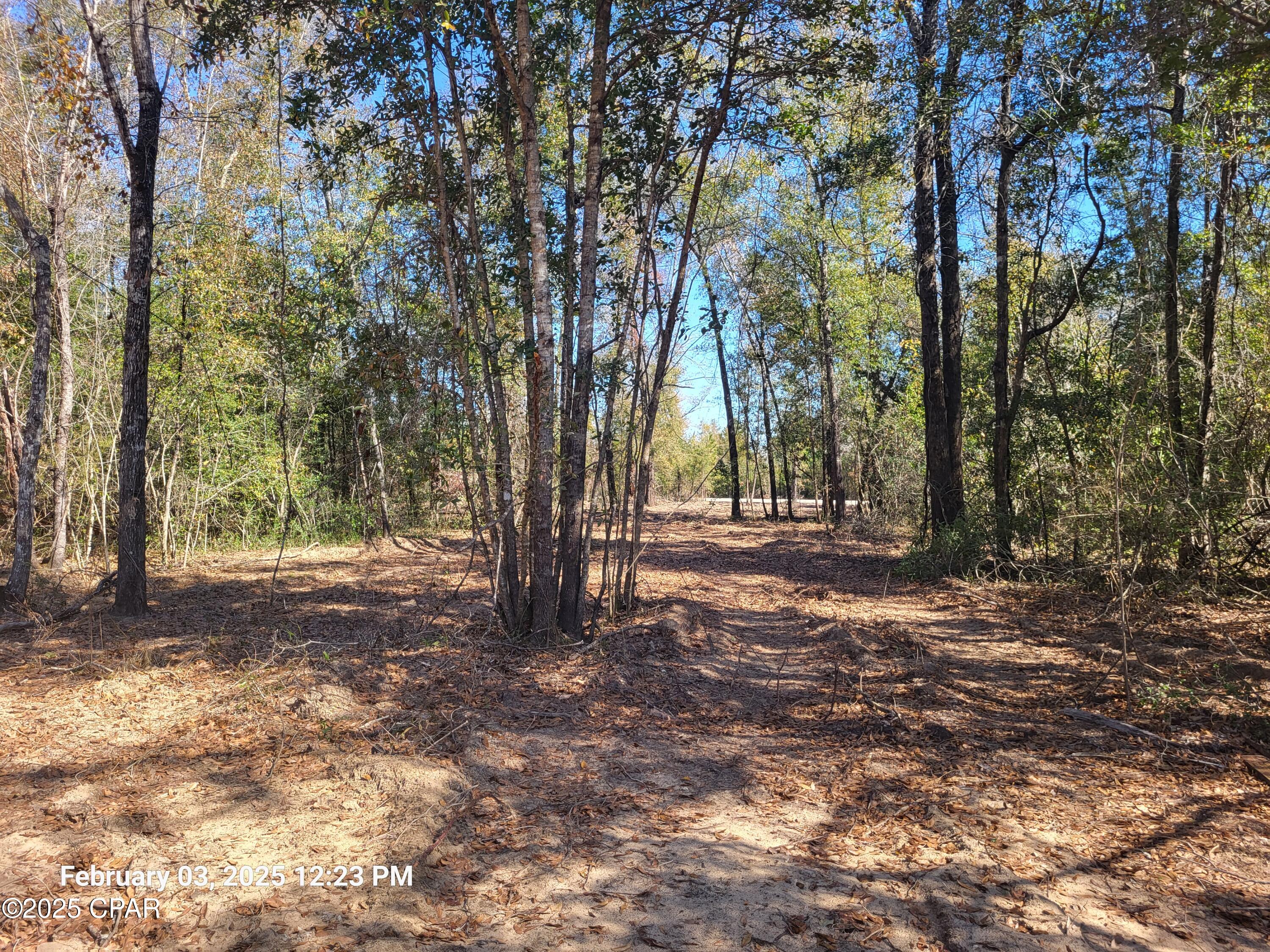 3 Acres of great land to build your dream home!  Manufactured Homes Allowed. This lot has already been surveyed.  NO HOA.  More Lots are available if you would like more land.  All lots are on County Maintained Roads with easy access. Homes must be at least 960 Sq Ft heated and cooled.  No Flood Zone. You can have as much privacy as you want. Ask you Realtor to send you the Information about White Pond Plantation.  You will love this beautiful land!