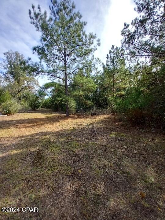 White Pond Plantation - Land