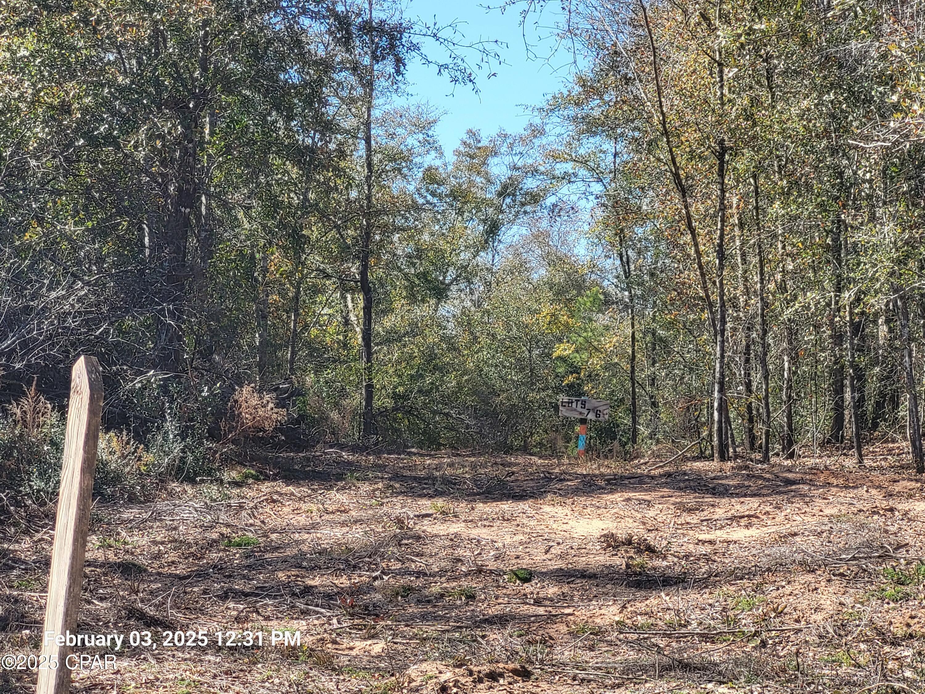 White Pond Plantation - Land