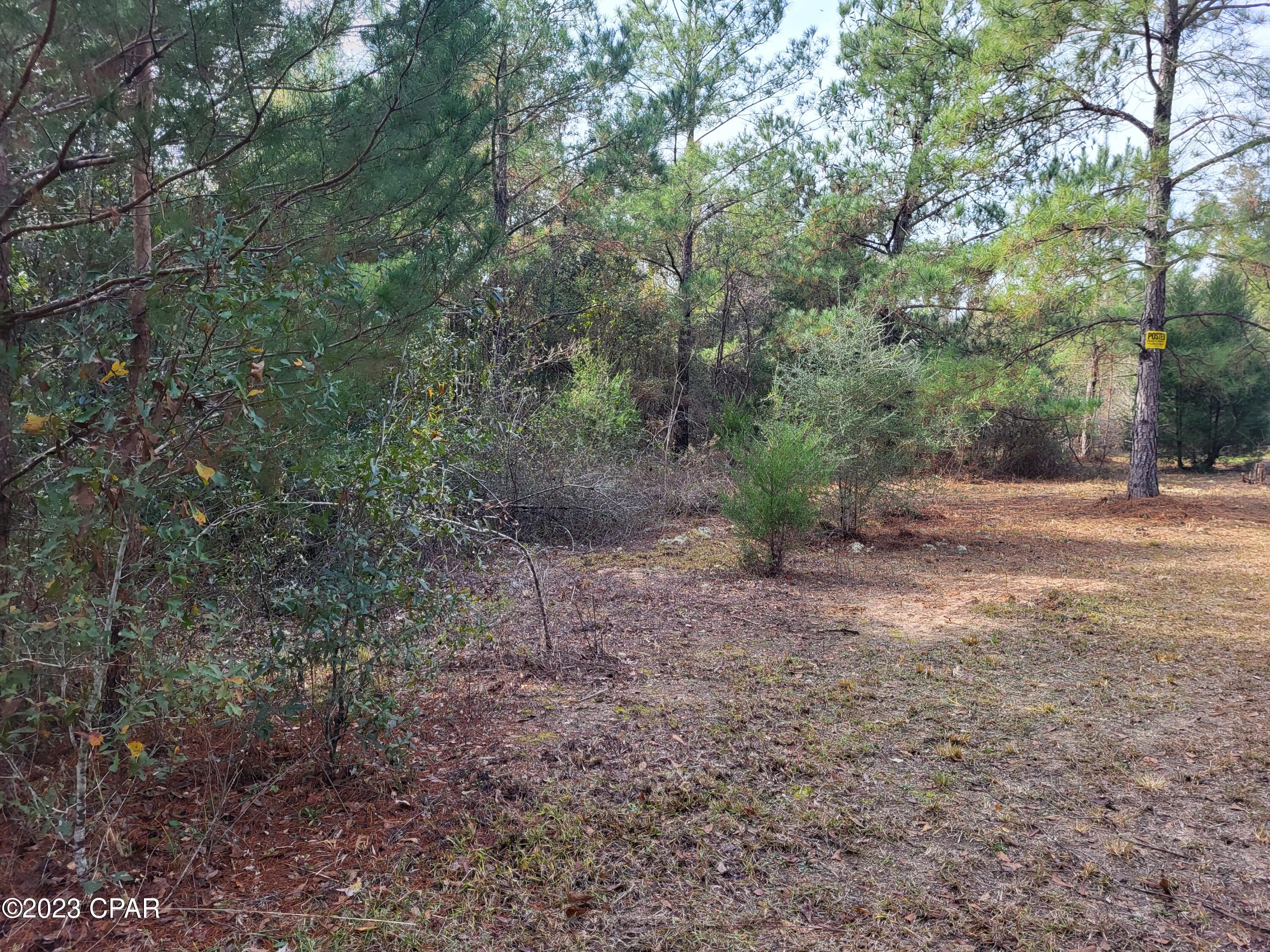 White Pond Plantation - Land