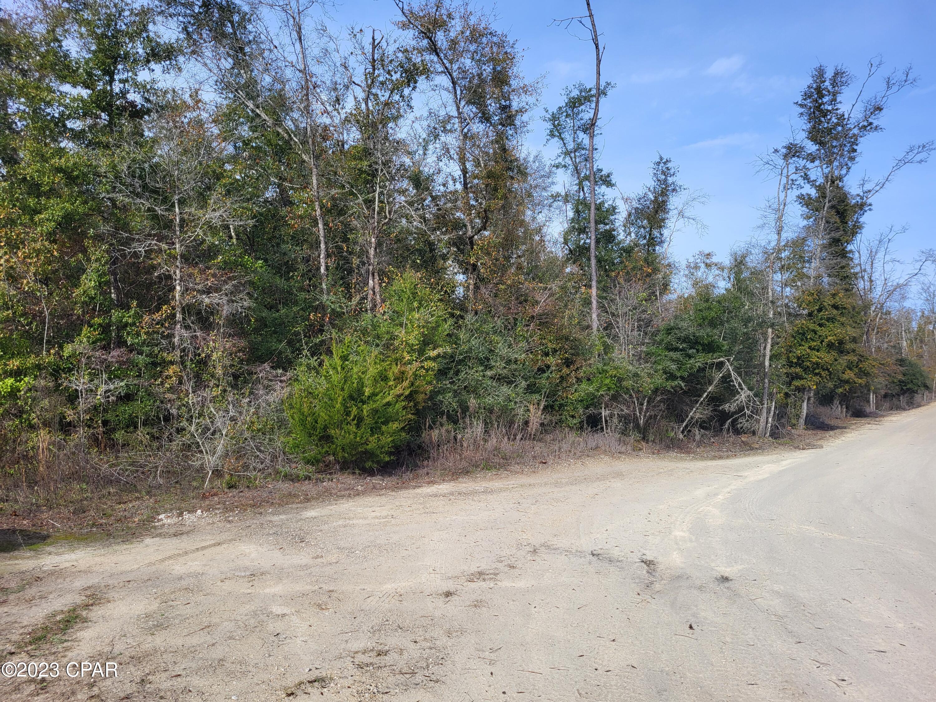 White Pond Plantation - Land