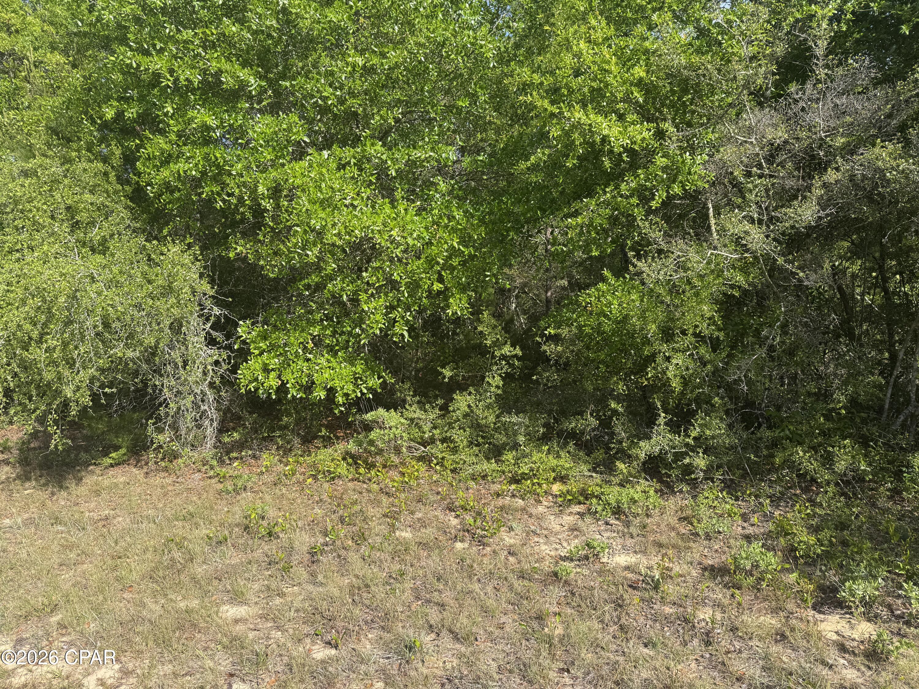 Nice wooded building lot in South Washington County . Property is 45 minutes to the World's Most Beautiful Beaches and Northwest Florida International  Airport . Sunny Hills offers a fantastic golf course, several Lakes to enjoy swimming, fishing and boating.