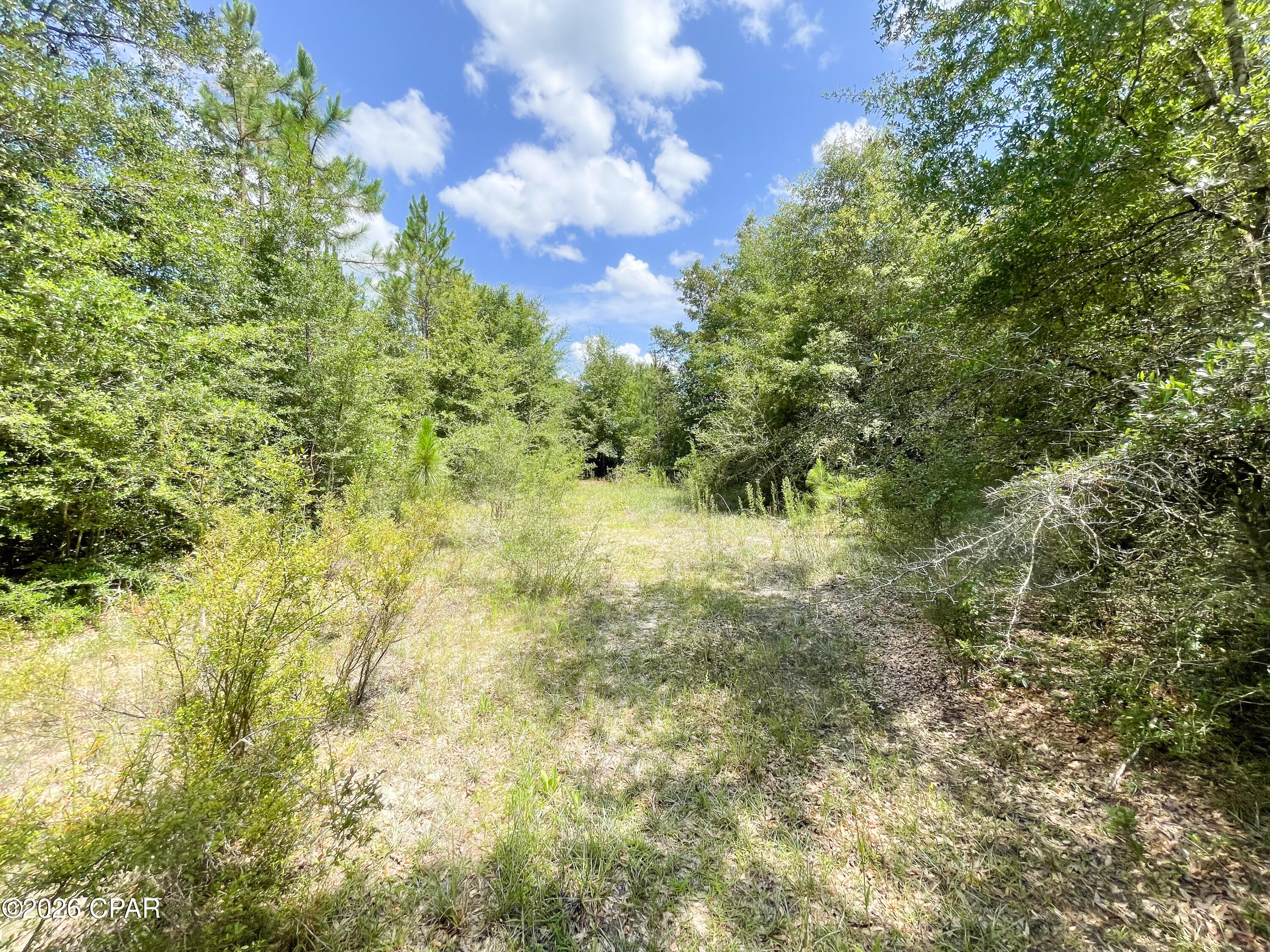 Pine Ridge Estates - Land