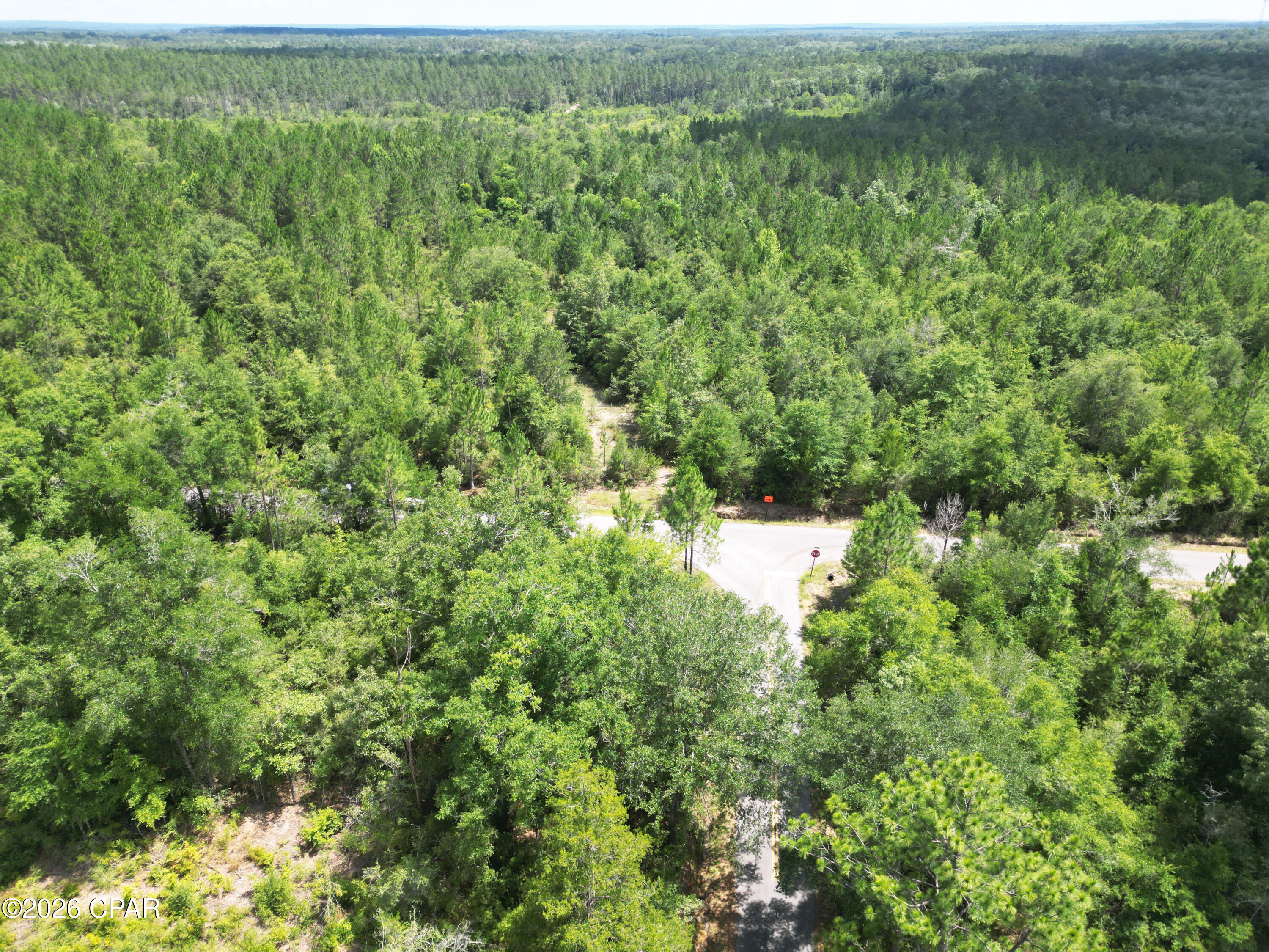 Pine Ridge Estates - Land